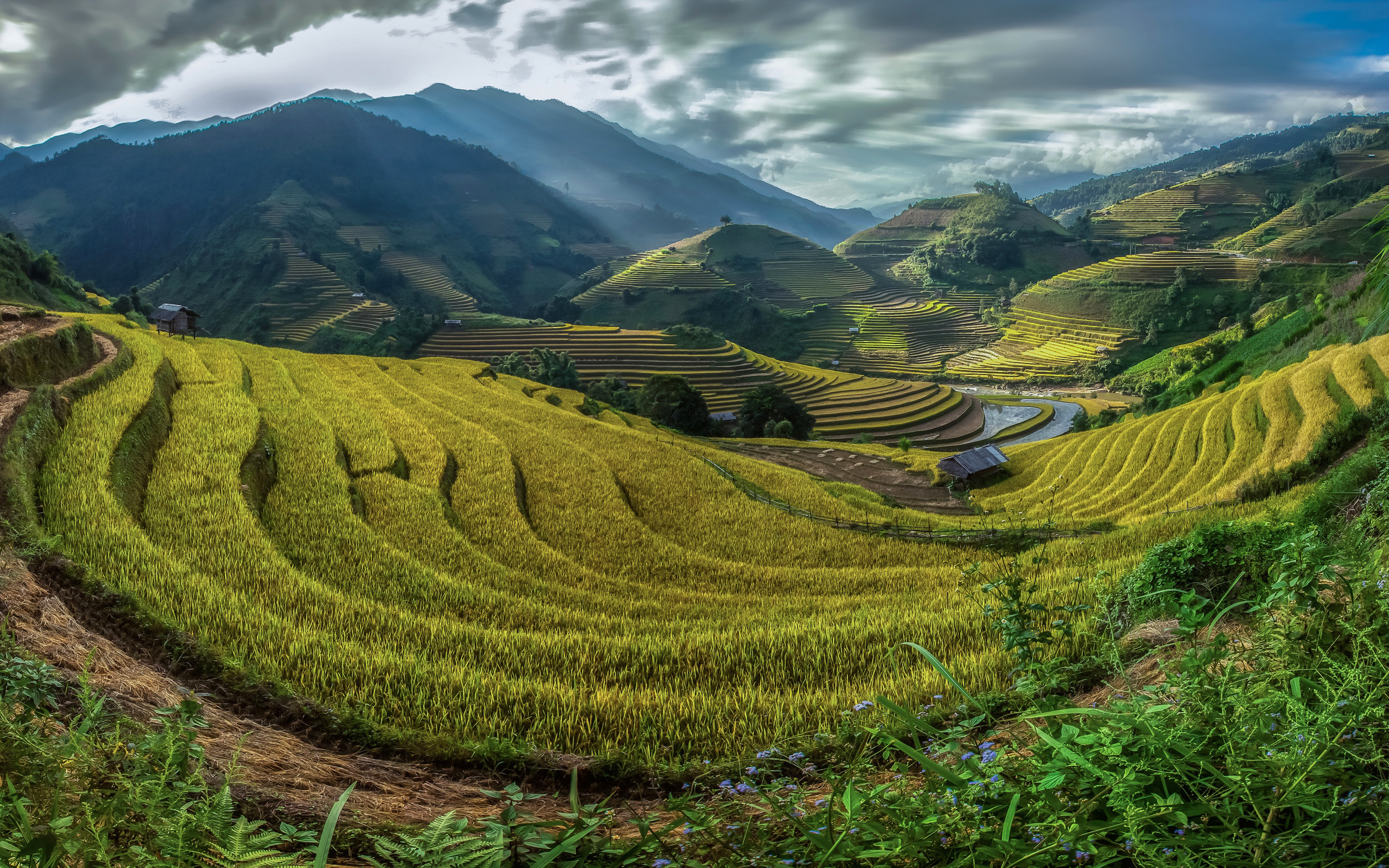 Bali rice fields, Mountain backdrop, High-quality HD wallpapers, Asian beauty, 2880x1800 HD Desktop