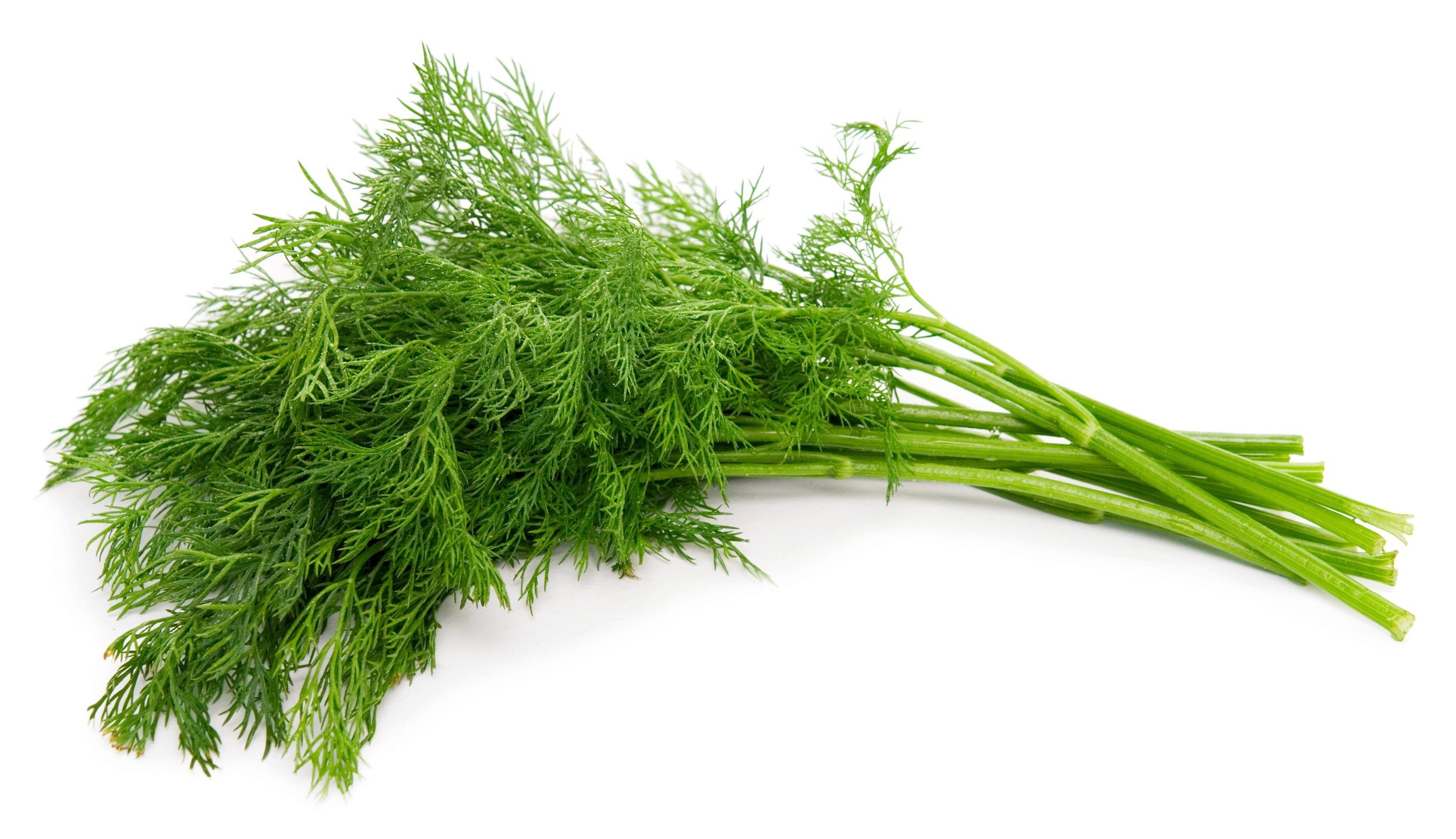 Online dill shopping, Herb's availability, Convenient purchase, Fresh culinary addition, 2500x1450 HD Desktop