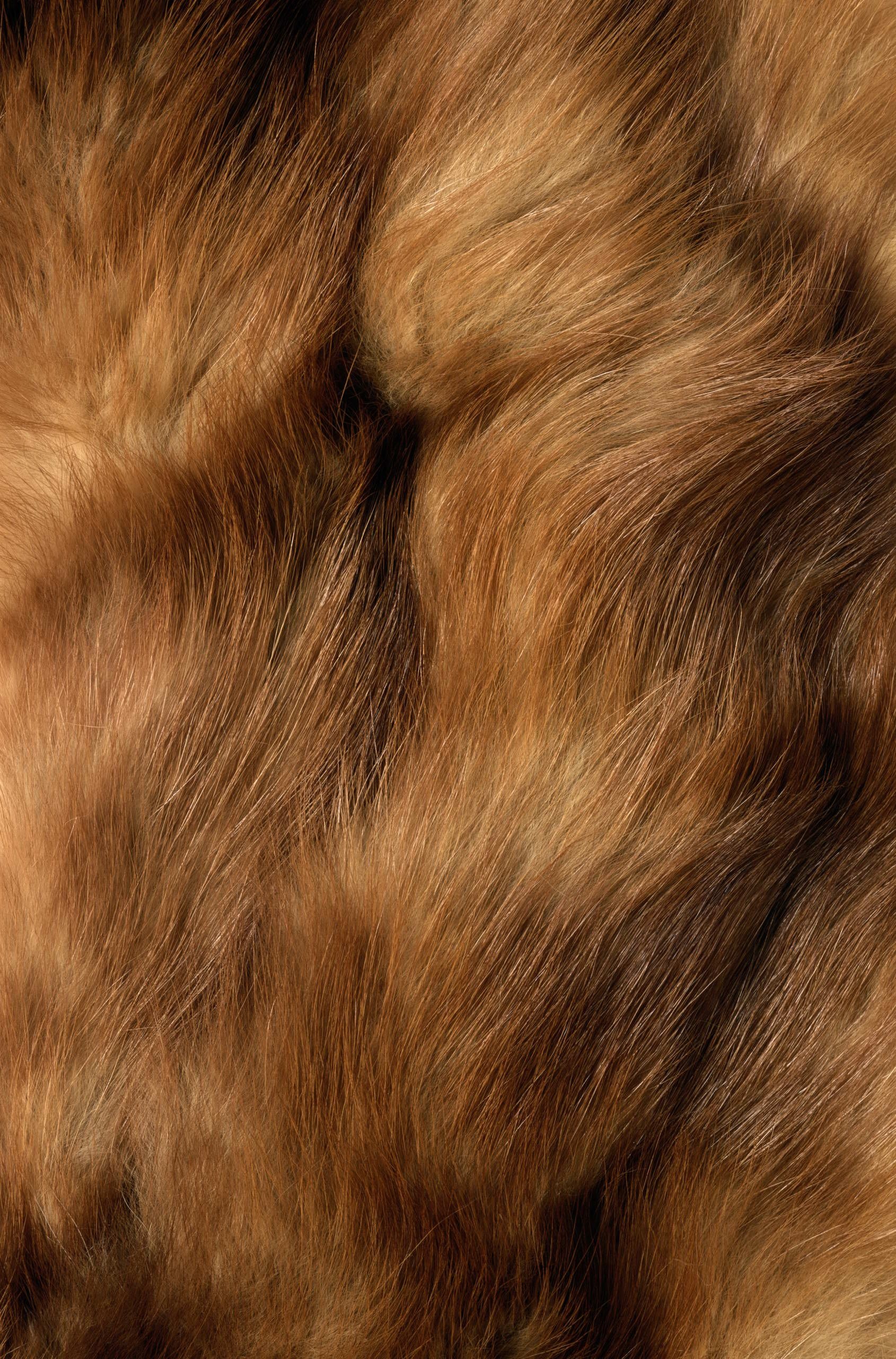 Textured fur, Brown fur, Abstract artwork, Detailed pattern, 1690x2560 HD Handy