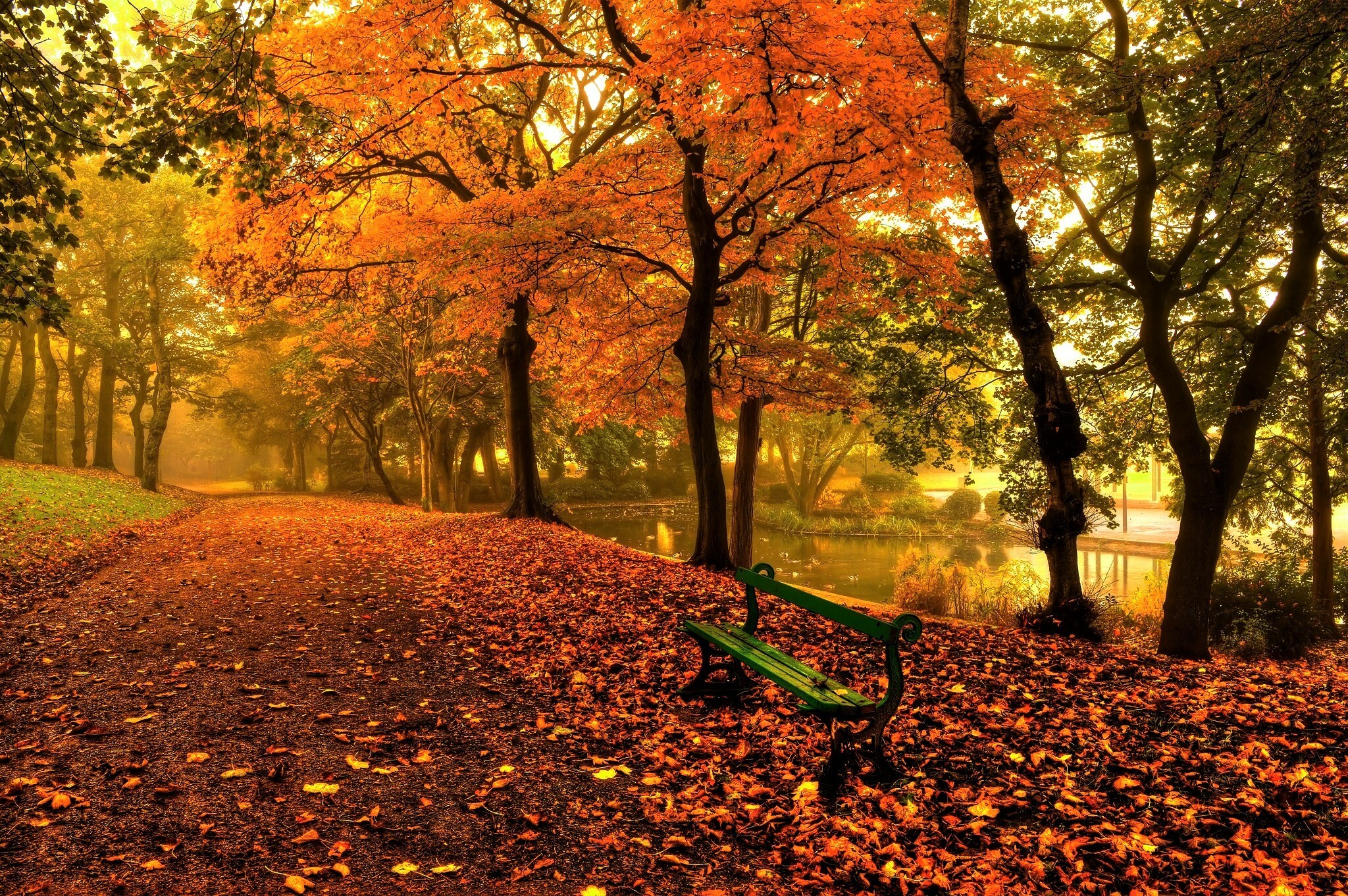 Autumn park beauty, Bench under golden trees, HD wallpaper magic, Nature's artistry, 2050x1370 HD Desktop