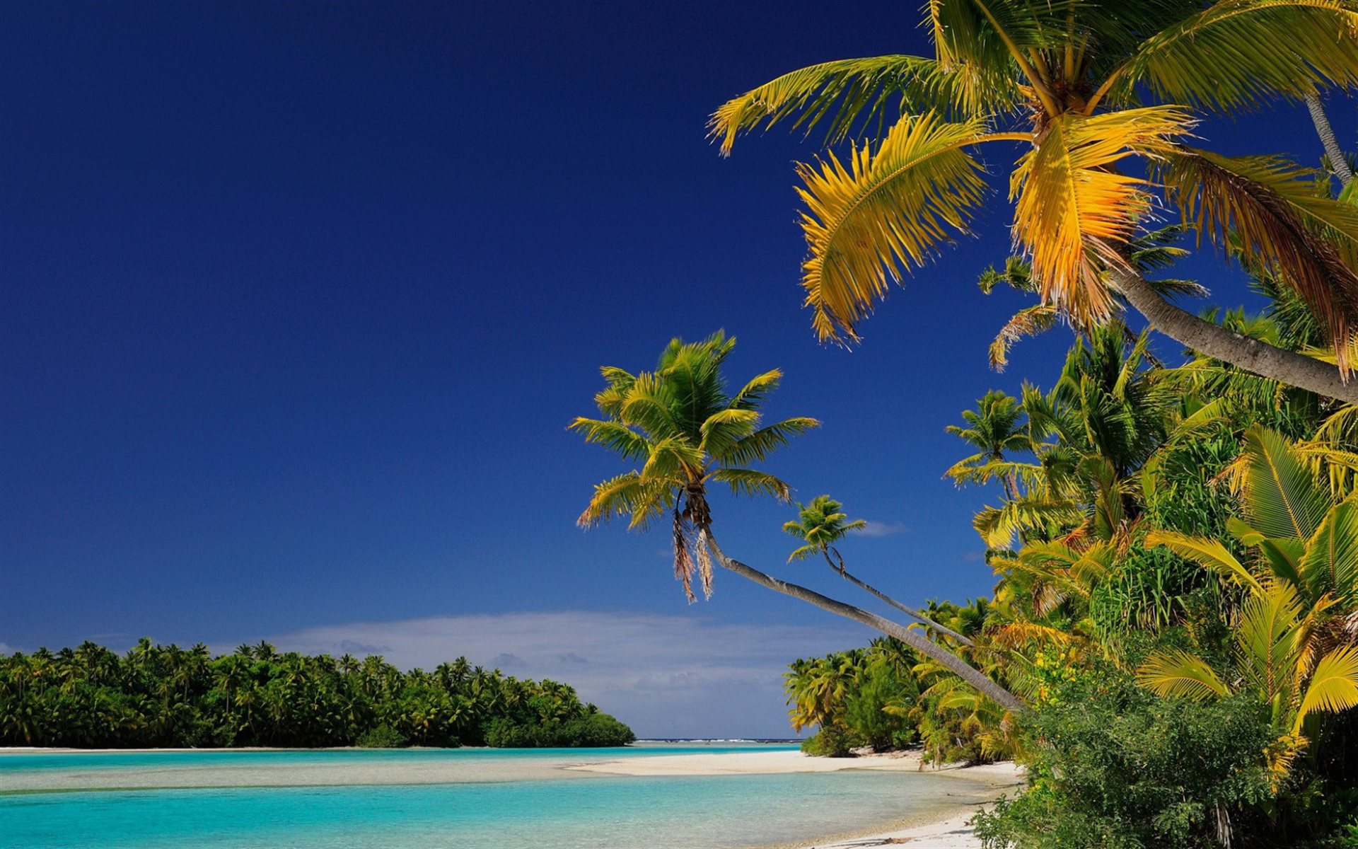 Aitutaki tropical islands, Palm trees, Azure lagoon, Oceania paradise, 1920x1200 HD Desktop