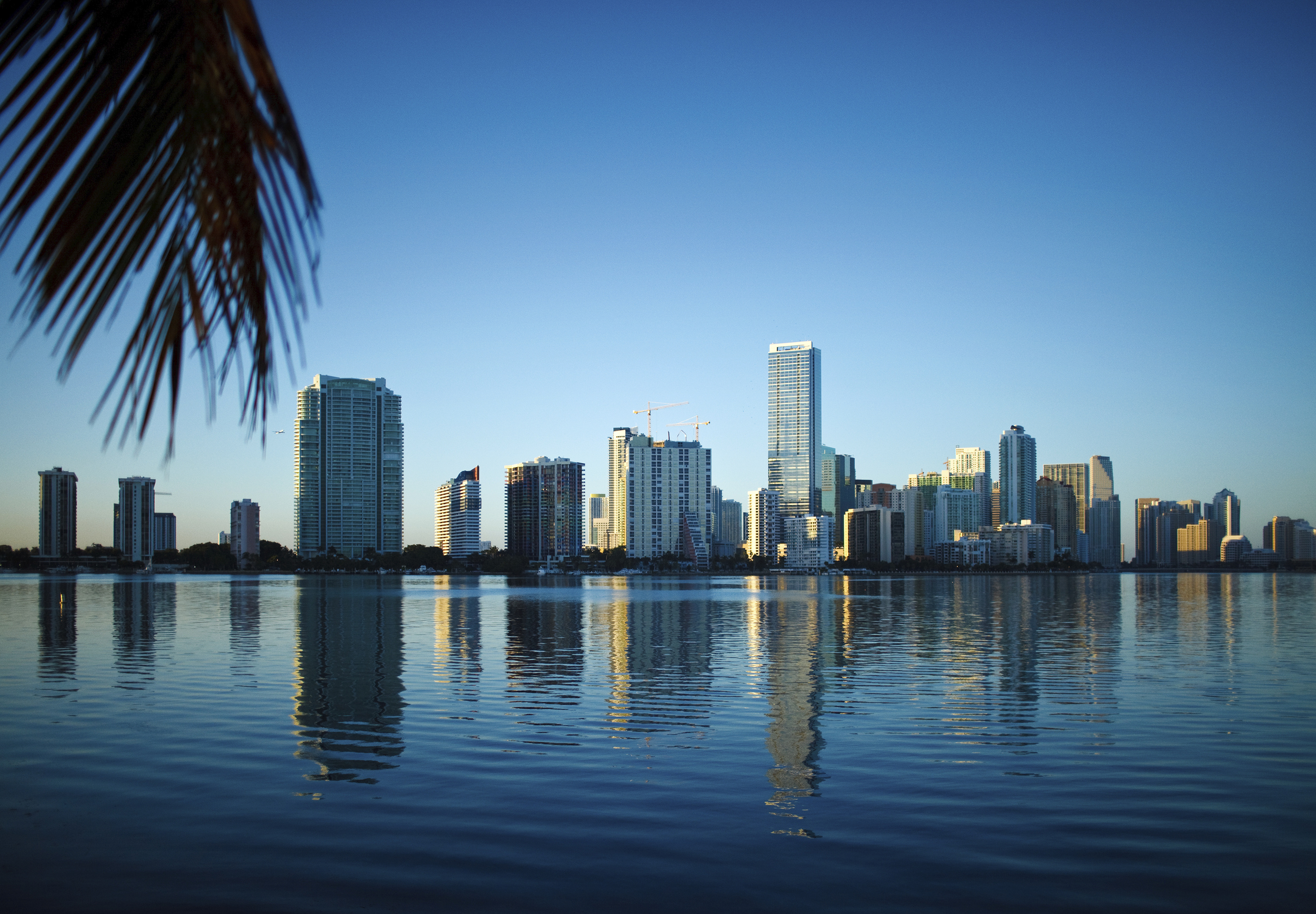 Miami Skyline, Travels, Americas regional meeting, Globalaw, 2960x2060 HD Desktop