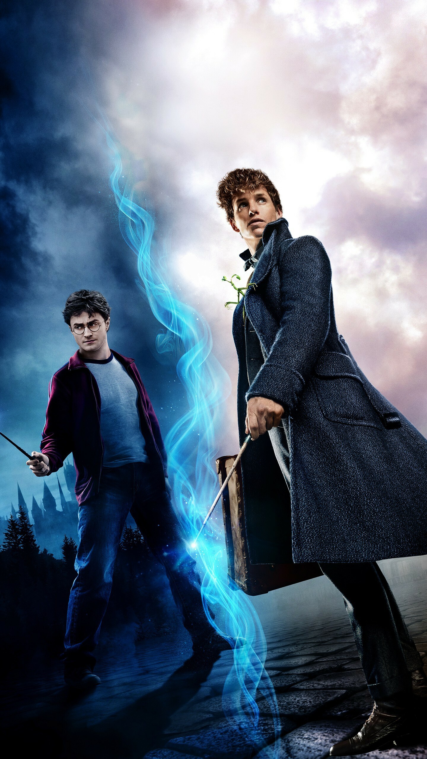 Harry Potter: A wizard, the only child of James and Lily Potter. 1440x2560 HD Wallpaper.