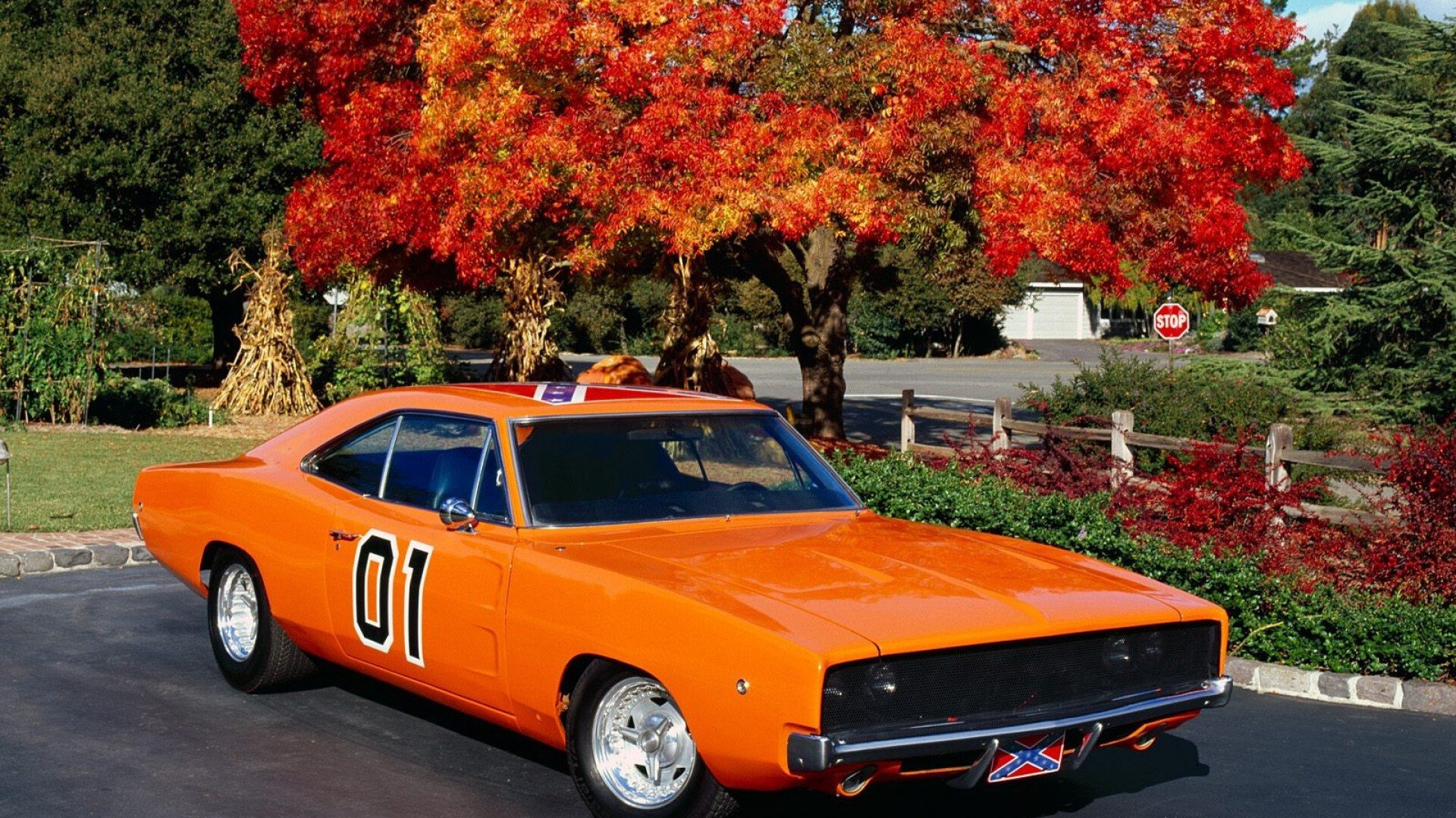 General Lee Car: Bubba Watson, Owner of LEE 1, Used in the show's first season, The star of the show and Warner Bros. 1920x1080 Full HD Background.