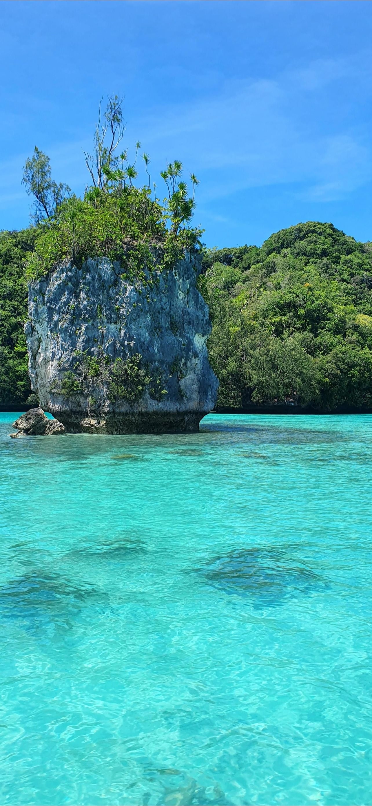 Palau iPhone wallpapers, Stunning island scenery, Mobile beauty, Free download, 1290x2780 HD Phone