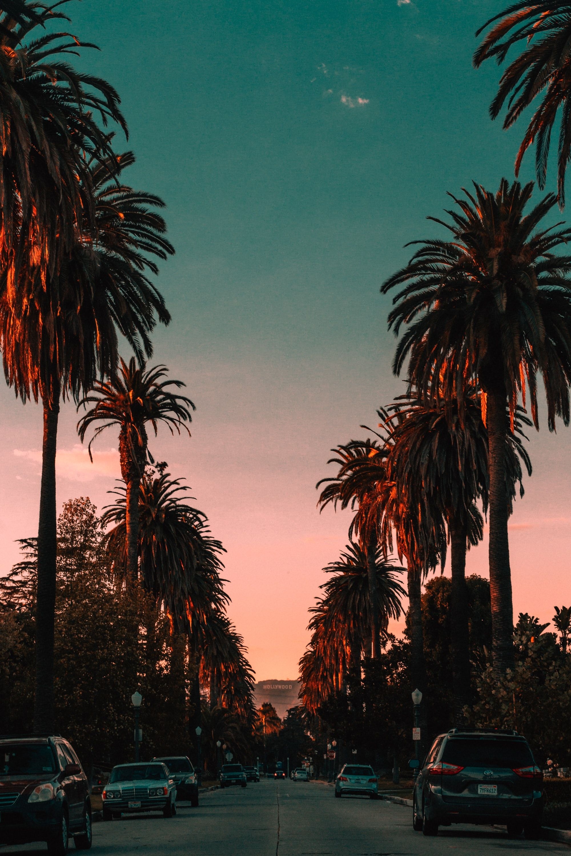 Hotel California wallpapers, Iconic visuals, Legendary vibes, Classic imagery, 2000x3000 HD Handy