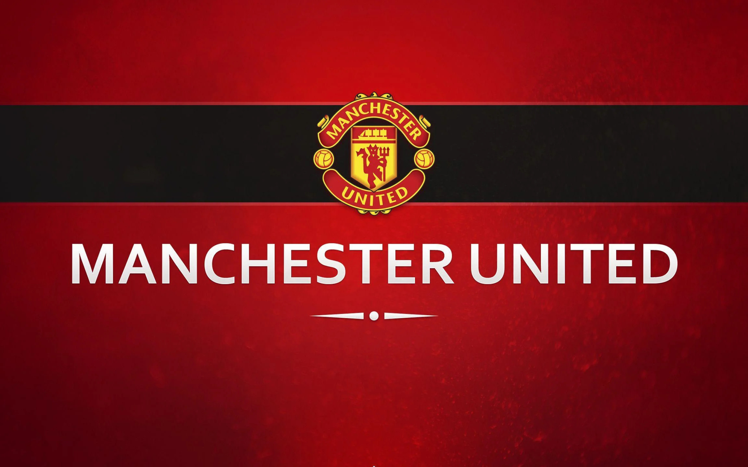 Manchester United, Striking desktop wallpapers, Distinctive design, Dynamic visuals, 2560x1600 HD Desktop