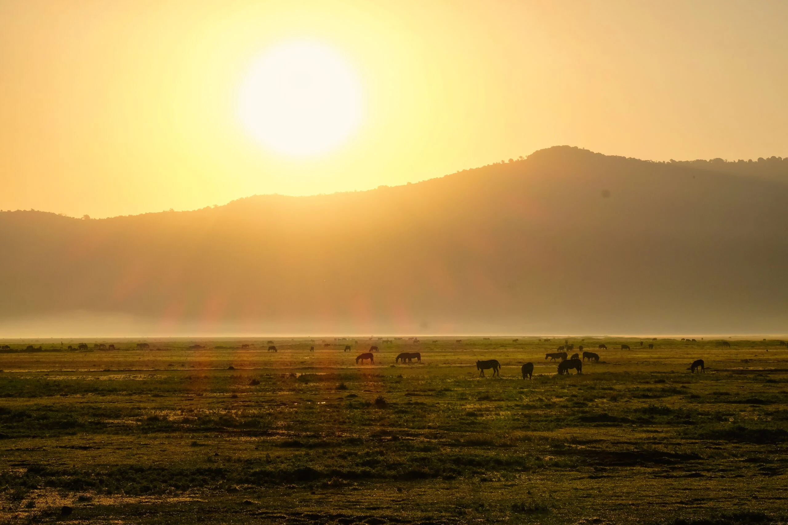 Expectations on Ngorongoro Crater safari, Ultimate guide, 2560x1710 HD Desktop