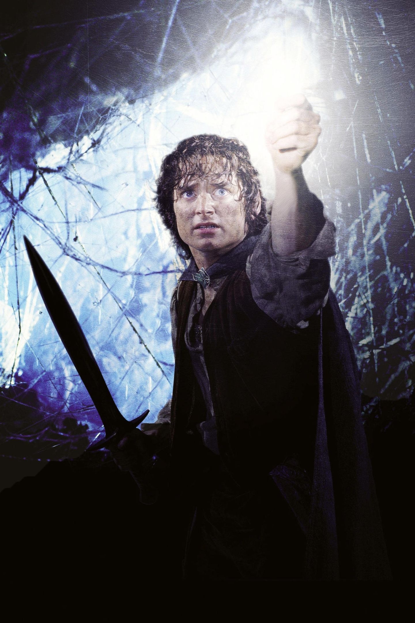 Frodo, Elijah Wood, Wallpaper resolution, ID1218112, 1440x2160 HD Handy