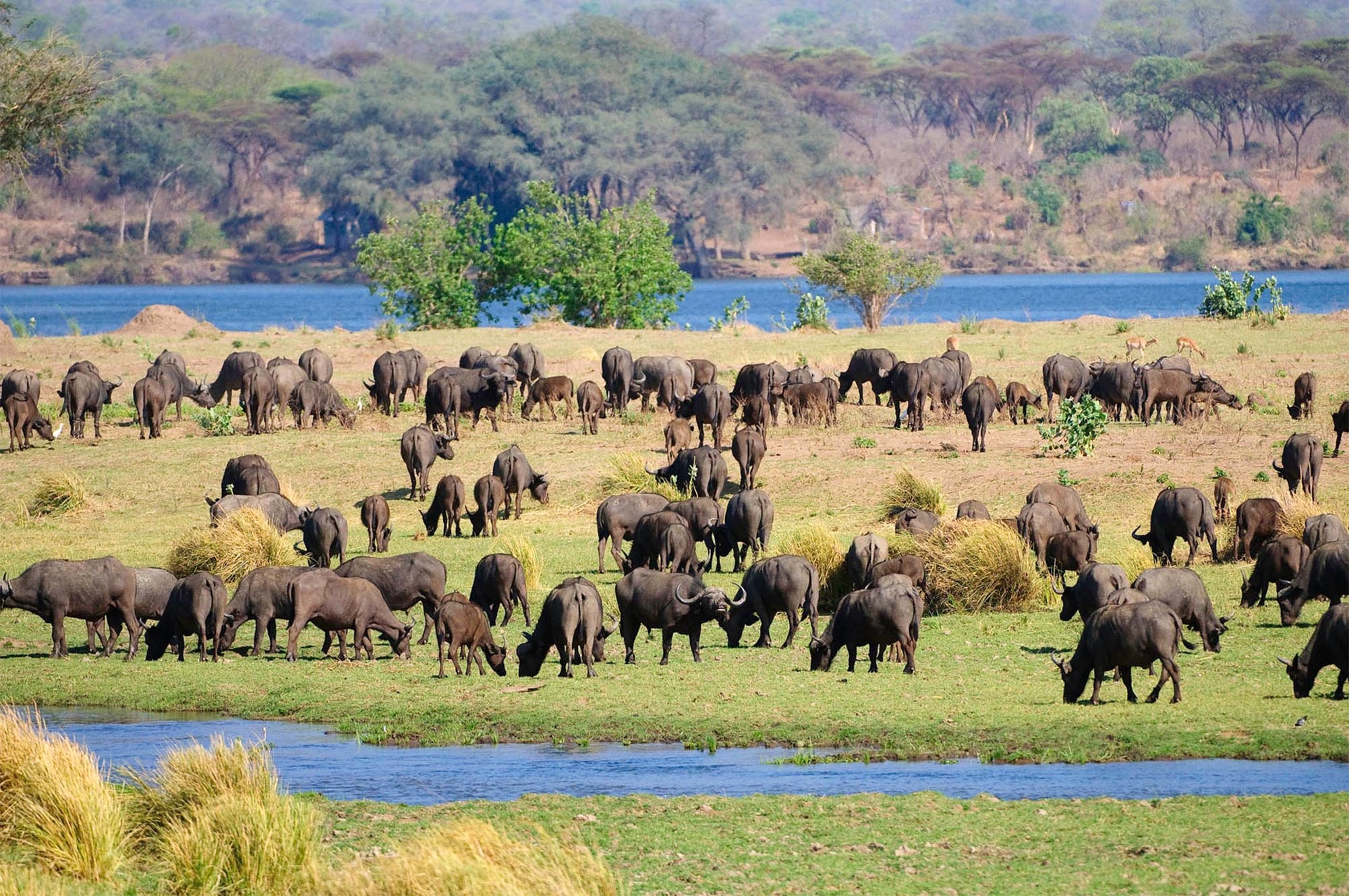 Zimbabwe travels, Awe-inspiring beauty, Timeless Africa, Safari experiences, 2000x1330 HD Desktop