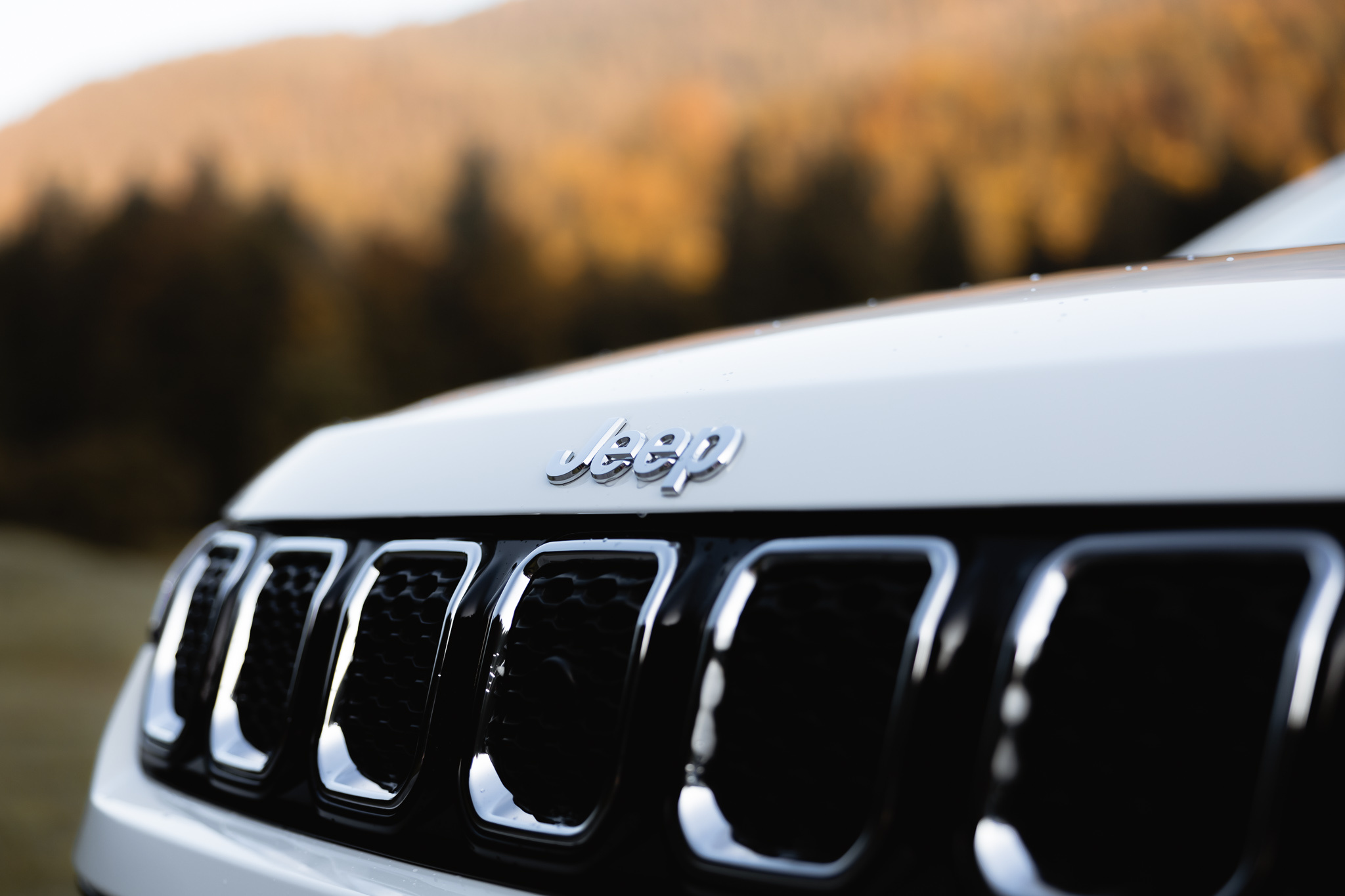 Jeep Compass, SUV comparison, BMW X1, Versatile off-roader, 2050x1370 HD Desktop