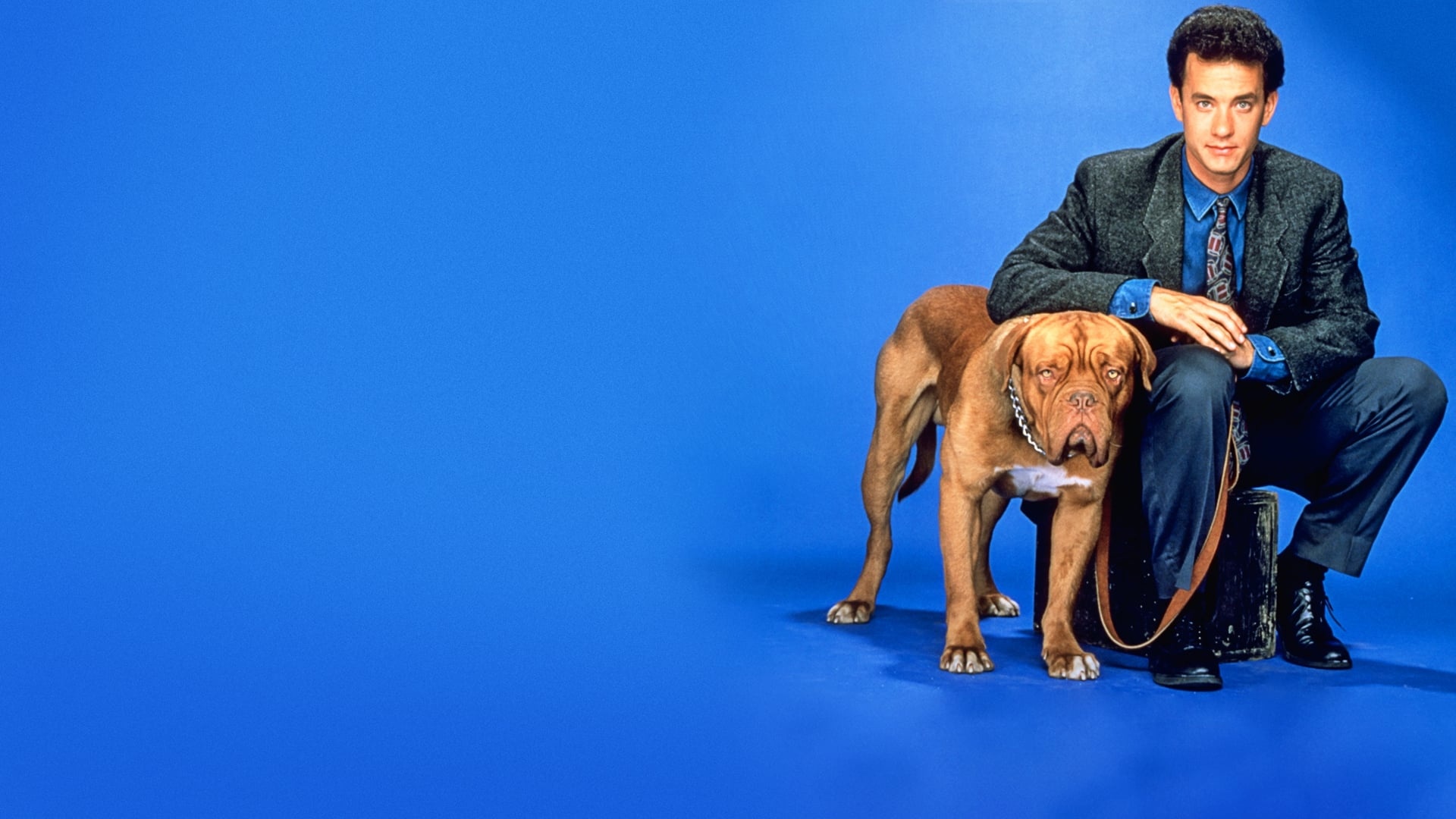 Turner and Hooch: Detective and his unlikely canine partner, assigned to investigate the thefts of strange objects around town. 1920x1080 Full HD Background.