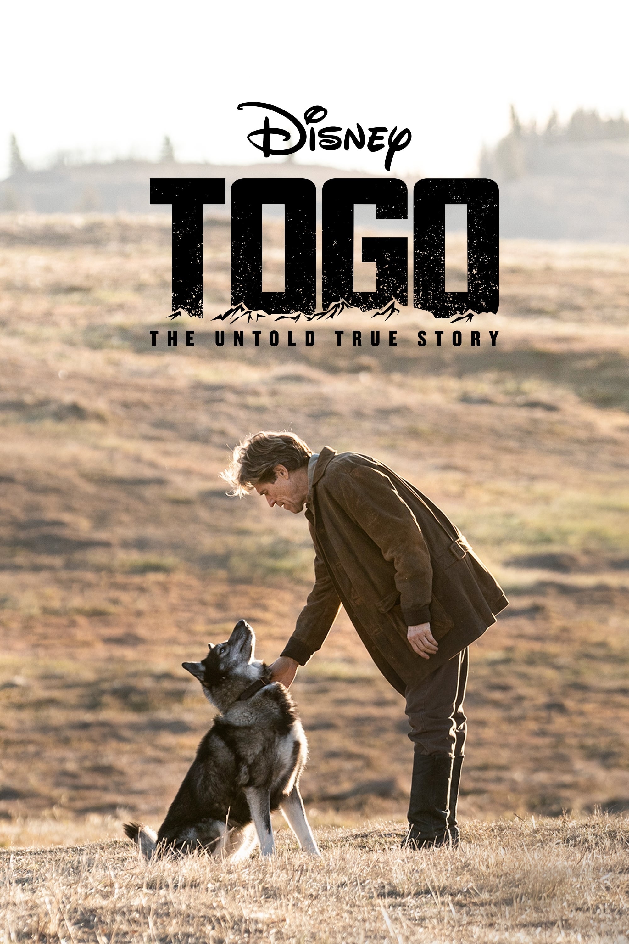 Togo movie posters, Movie database, Togo 2019, Togo movie, 2000x3000 HD Handy