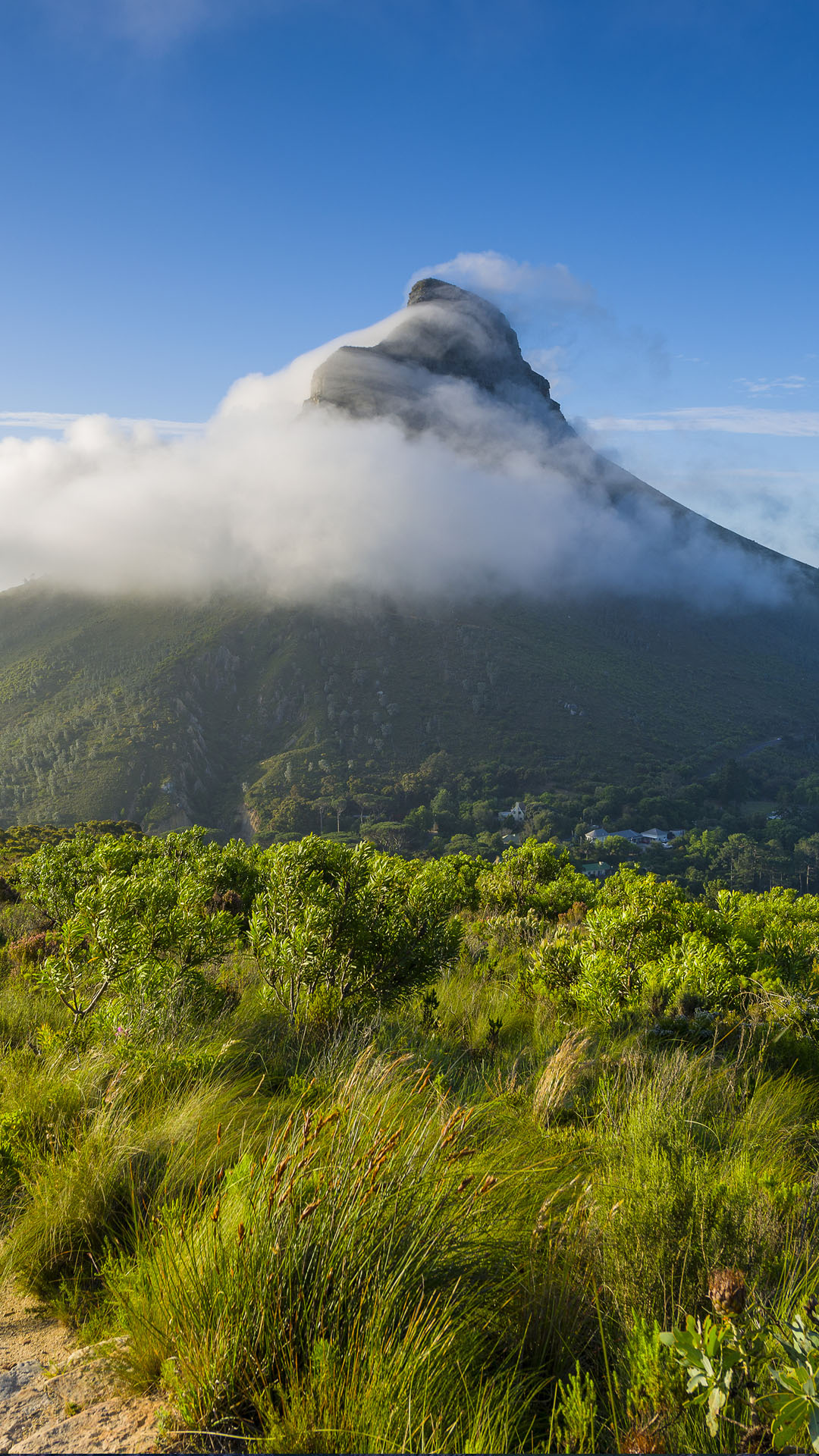 Tourist Hikers, Cape Town, Lion's Head Peak, 1080x1920 Full HD Phone