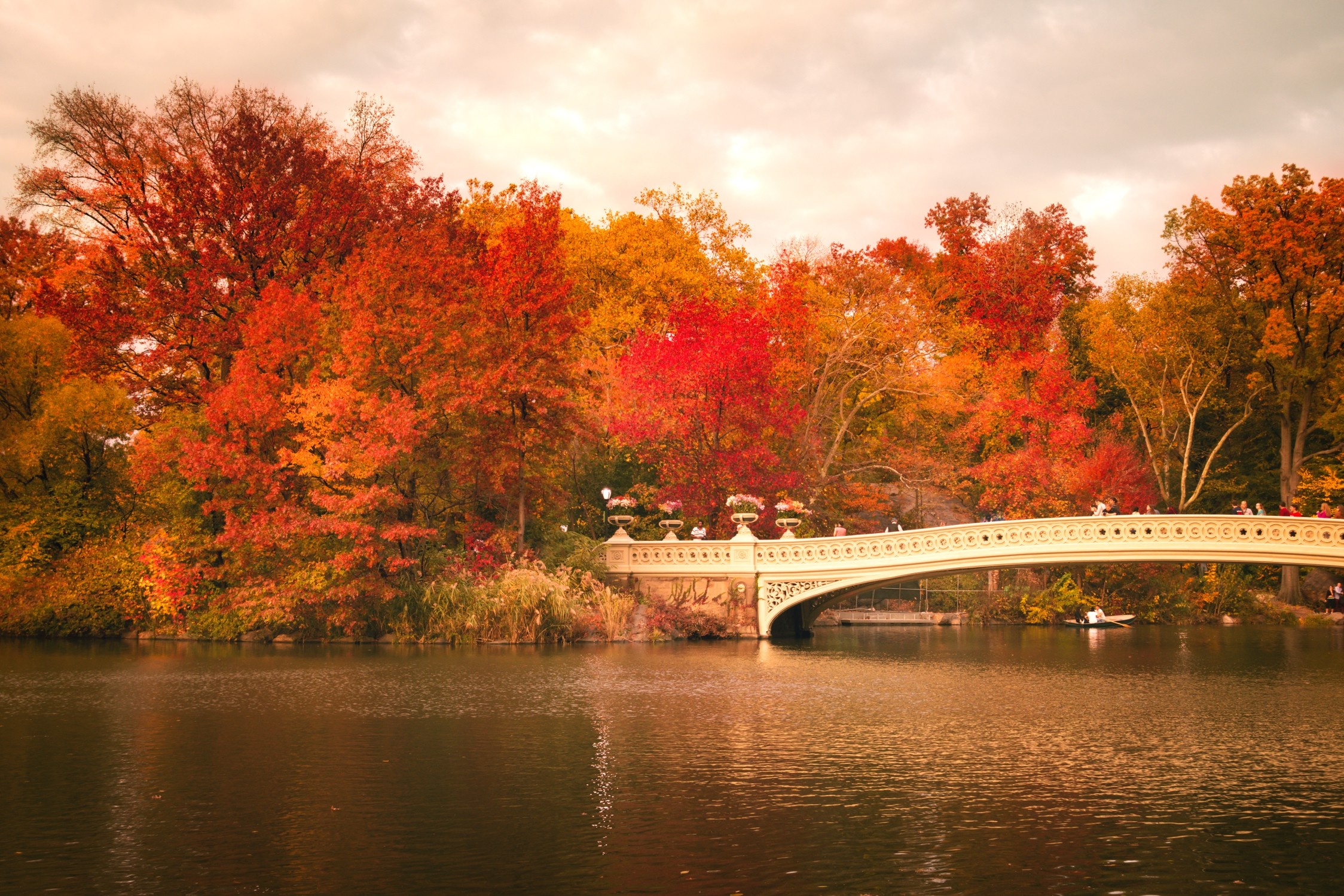 Central Park: One of New York City's most breathtaking and celebrated attractions, The Bow Bridge. 2250x1500 HD Background.