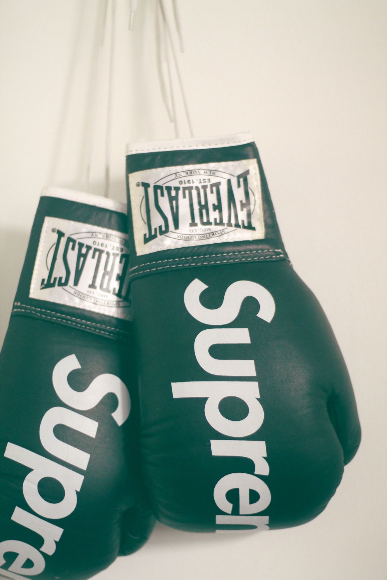 Boxing Gloves, Supreme, Everlast, 1280x1920 HD Phone