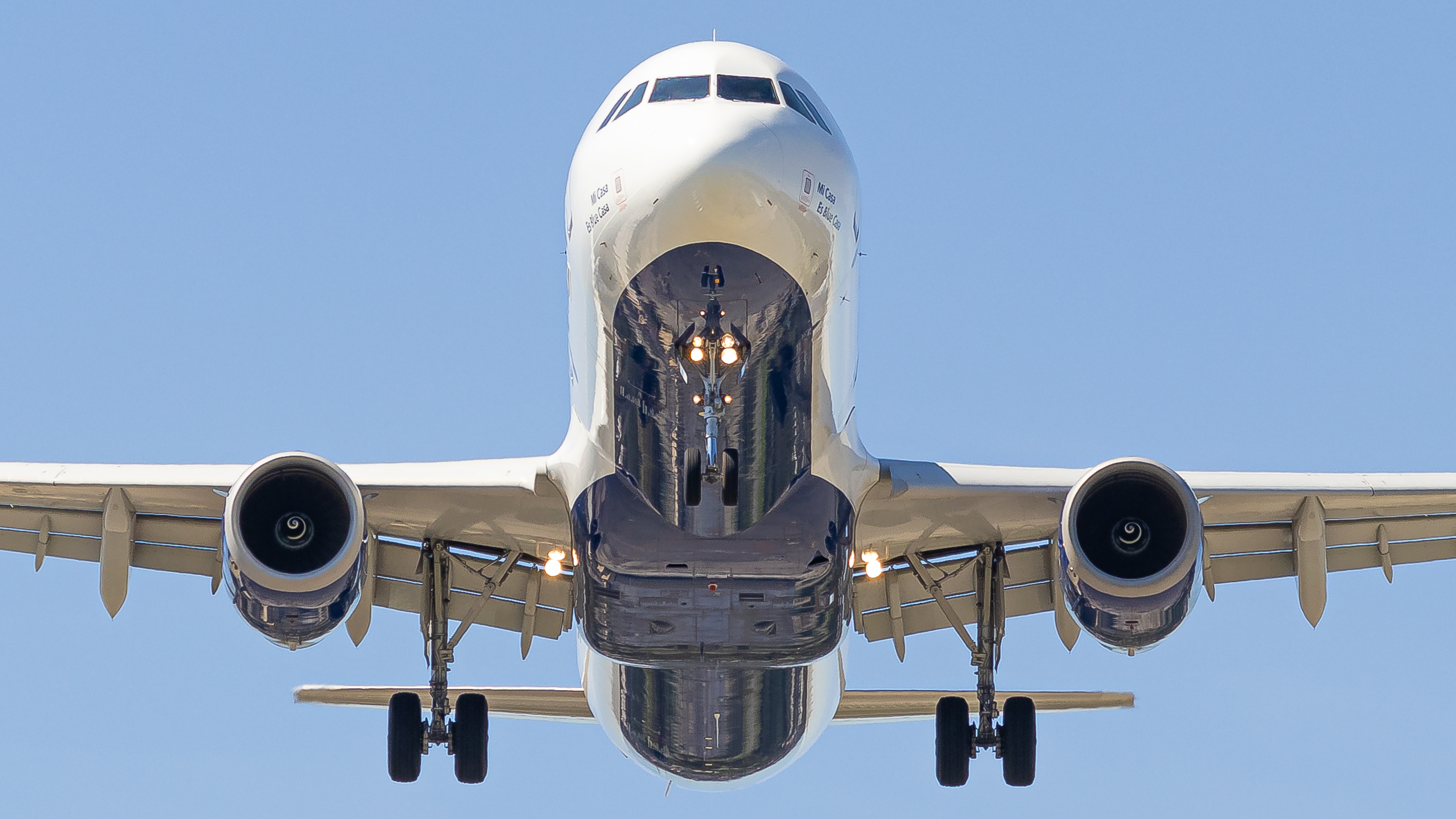 JetBlue Airways, Canarsie Approach Action, Spotting, Infinite Flight Community, 2560x1440 HD Desktop