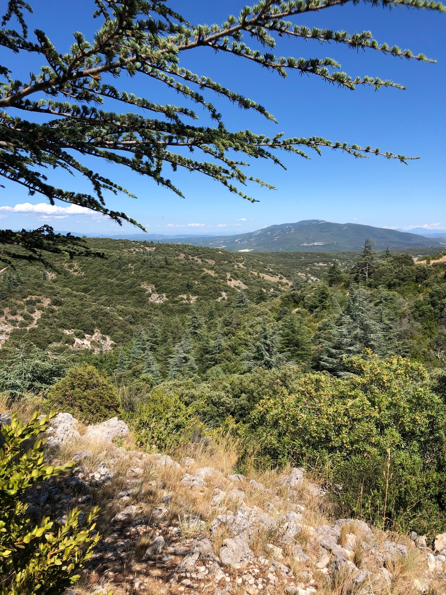 Luberon Regional Nature Park, Provence, Viewpoints, Outdoor Activities, 1520x2020 HD Handy