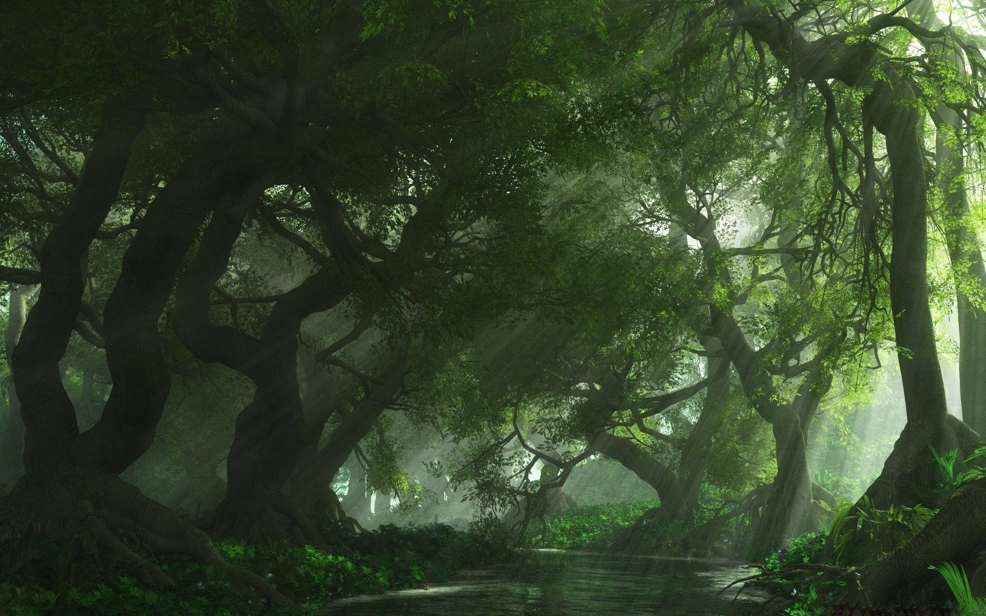 Green Forest: Temperate broadleaf and mixed woodlands, Country setting. 1920x1200 HD Wallpaper.