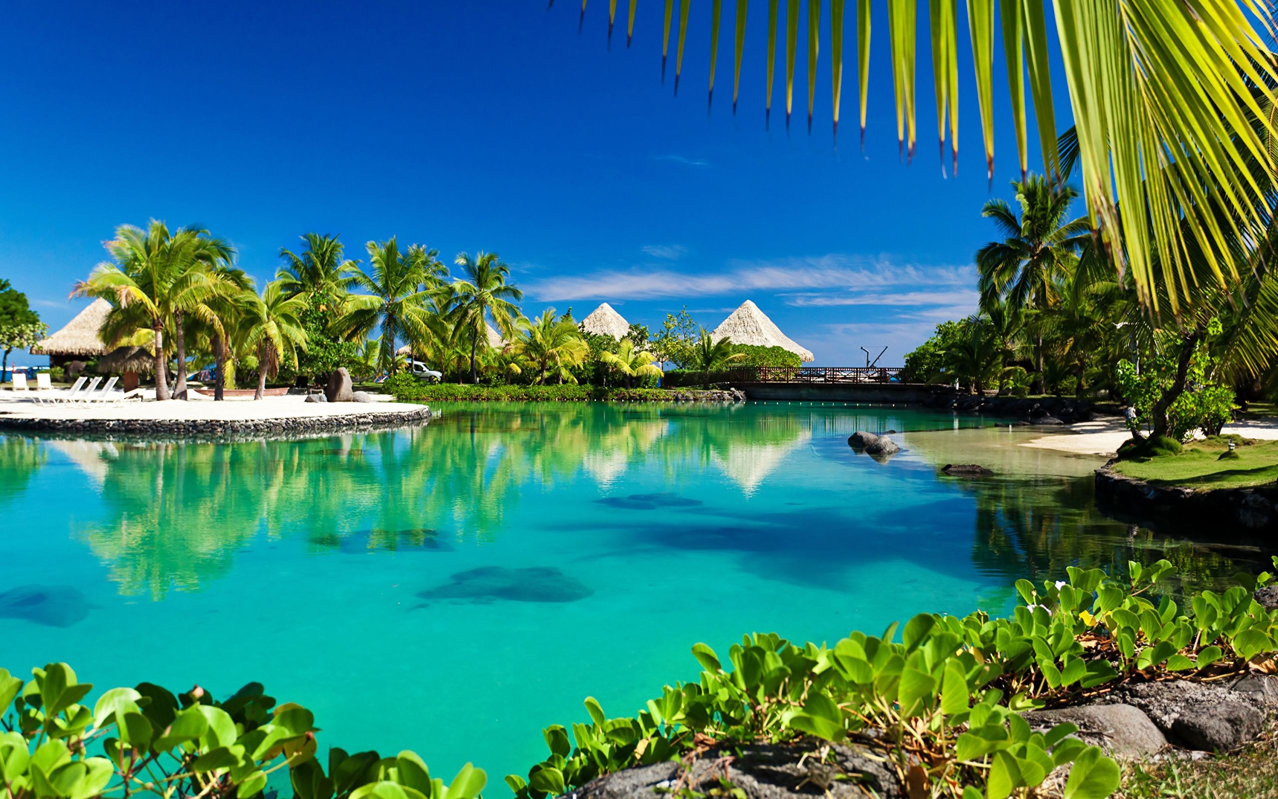French Polynesia, Gorgeous wallpapers, Breathtaking backgrounds, Tropical beauty, 2560x1600 HD Desktop