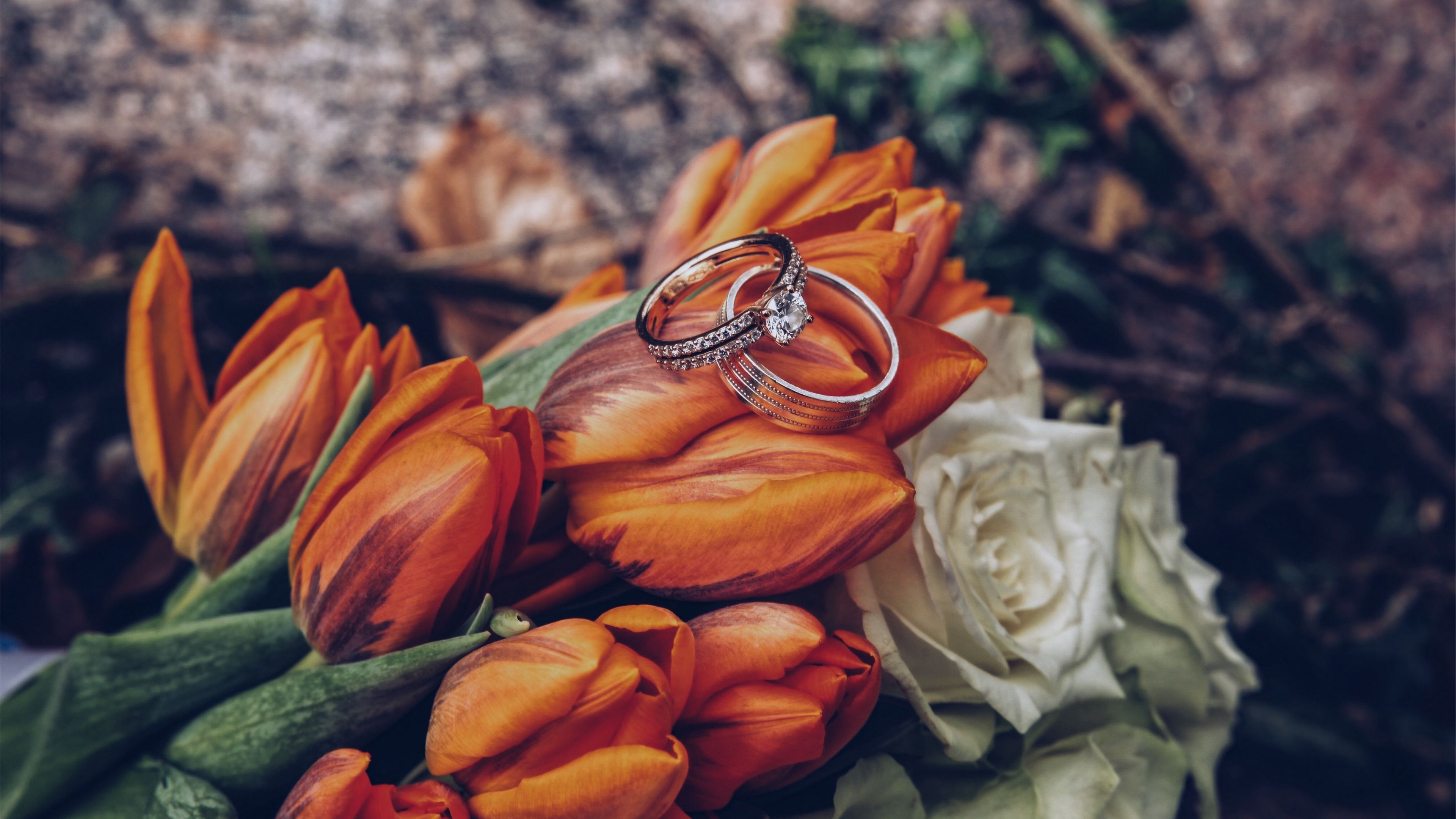 Tulips, Rings, Flowers, Romance, Wedding, Perfect engagement, Marriage trends, 3840x2160 4K Desktop