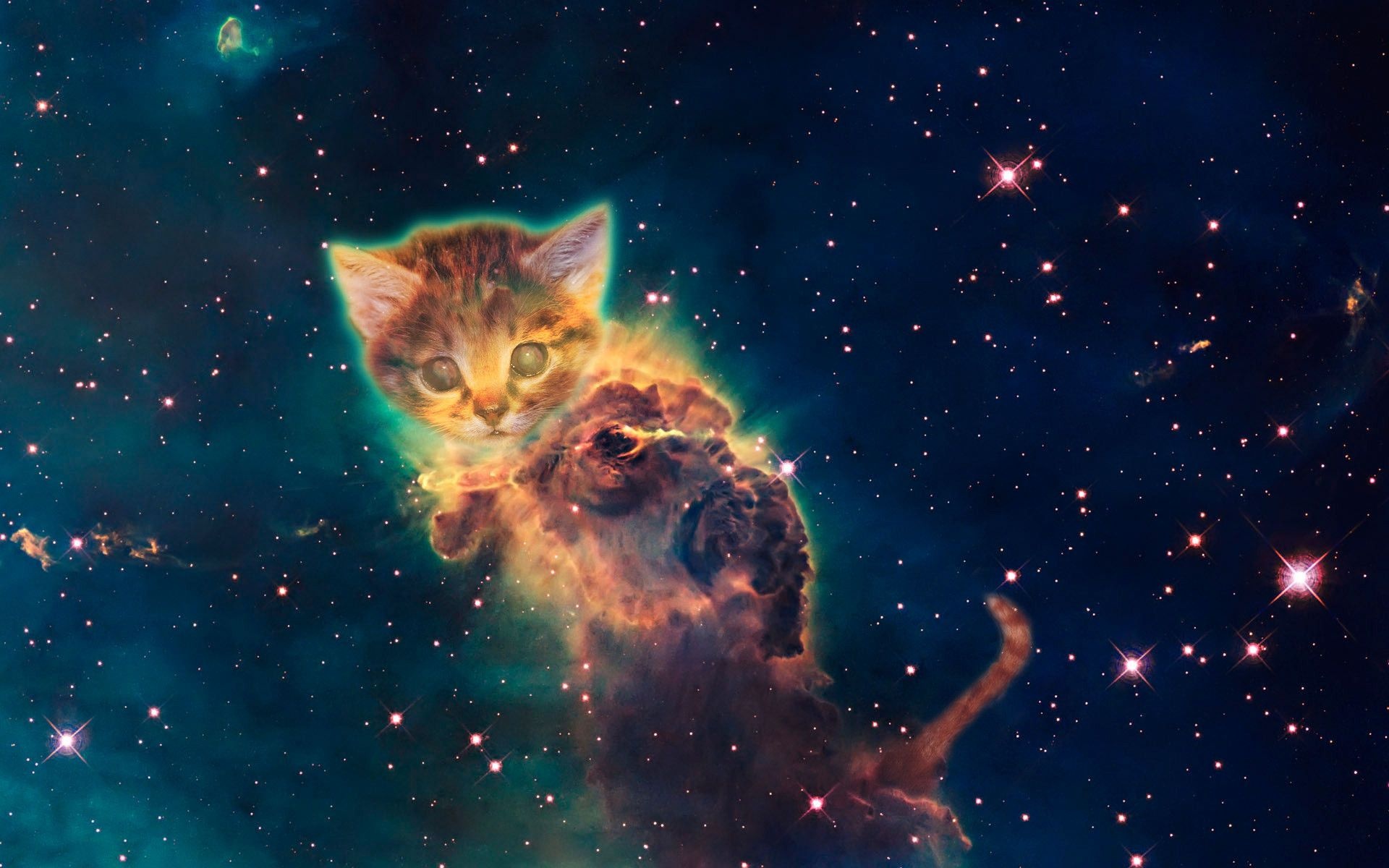 Galaxy Cat, Harmonious blend, Cosmic presence, Whimsical charm, 1920x1200 HD Desktop