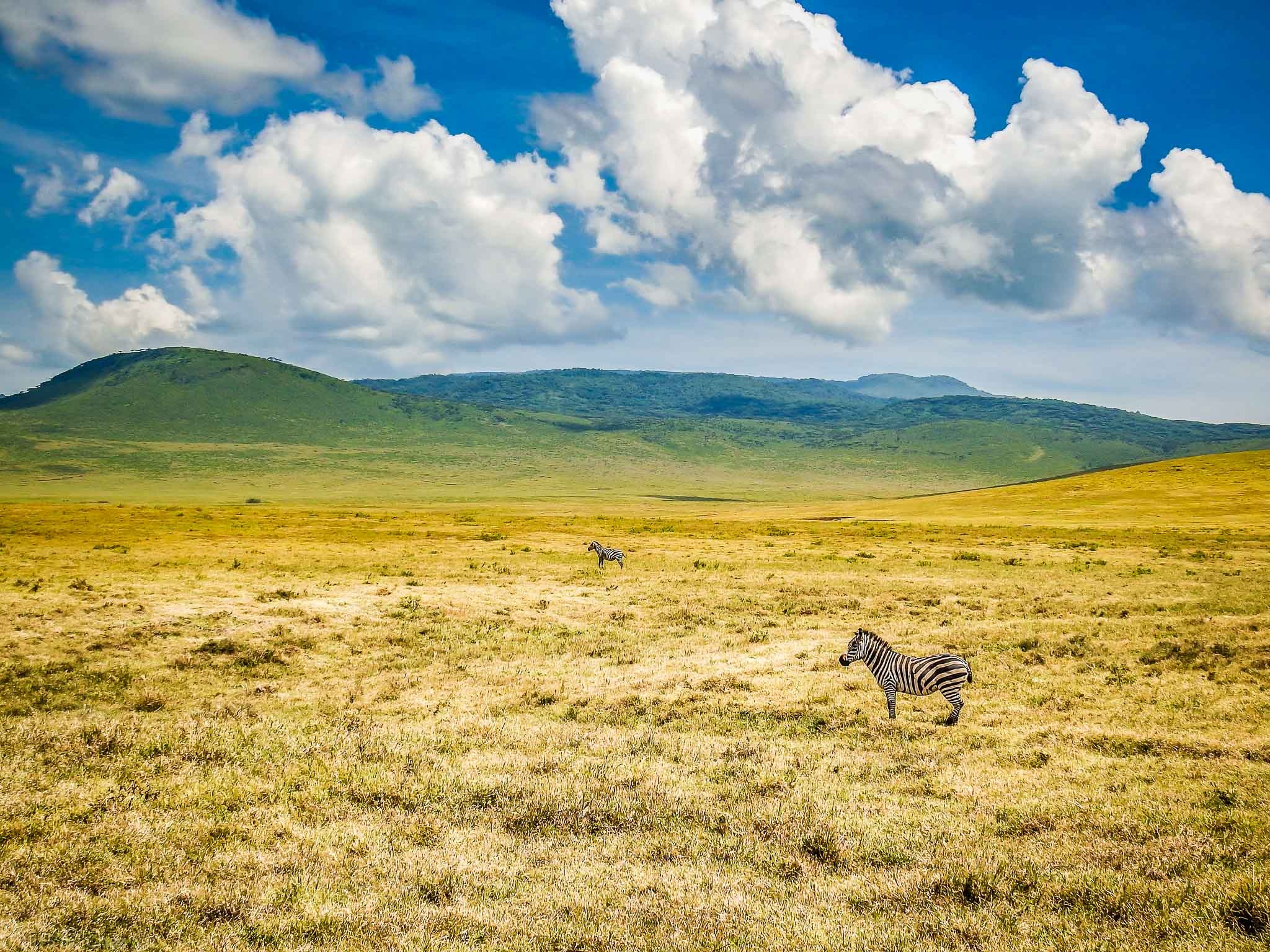 Ngorongoro Crater, Wildlife conservation, Tangled thoughts, Safari adventure, 2050x1540 HD Desktop