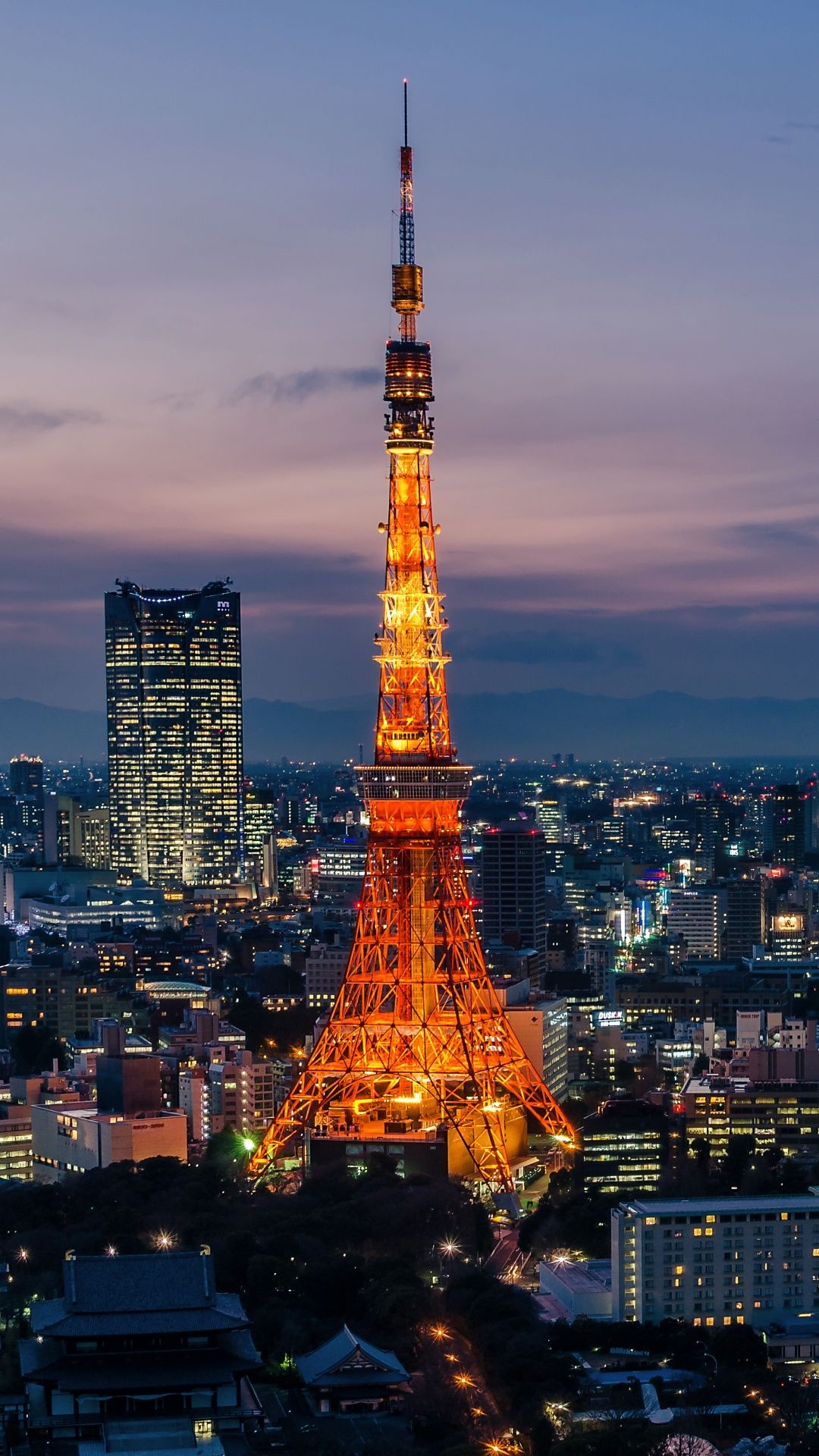 Tokyo city wallpapers, High-rise buildings, Night lights, Japanese architecture, 1080x1920 Full HD Handy