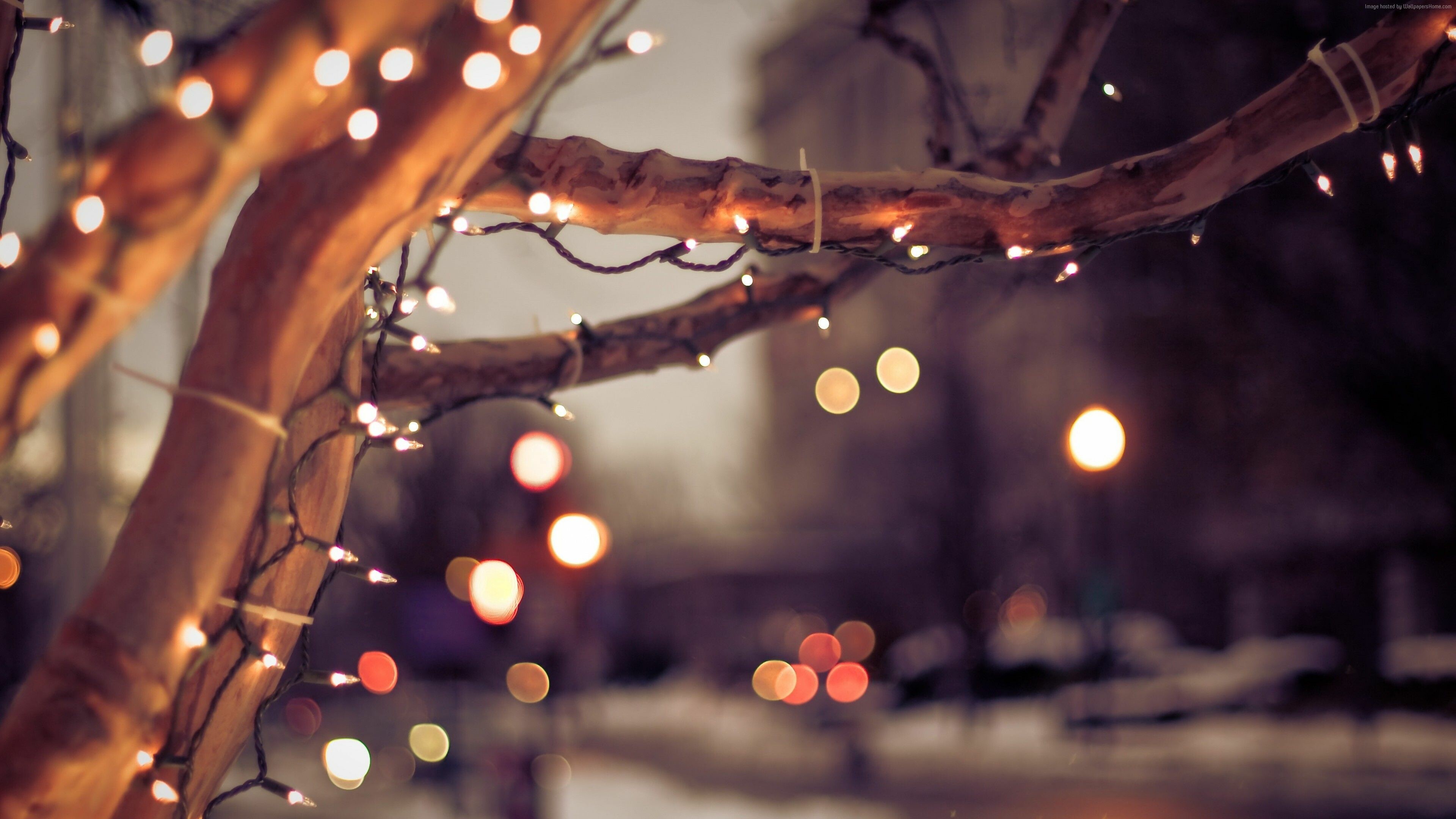 Fairy Lights: Often used for decoration in celebration of Christmas or New Year. 3840x2160 4K Wallpaper.