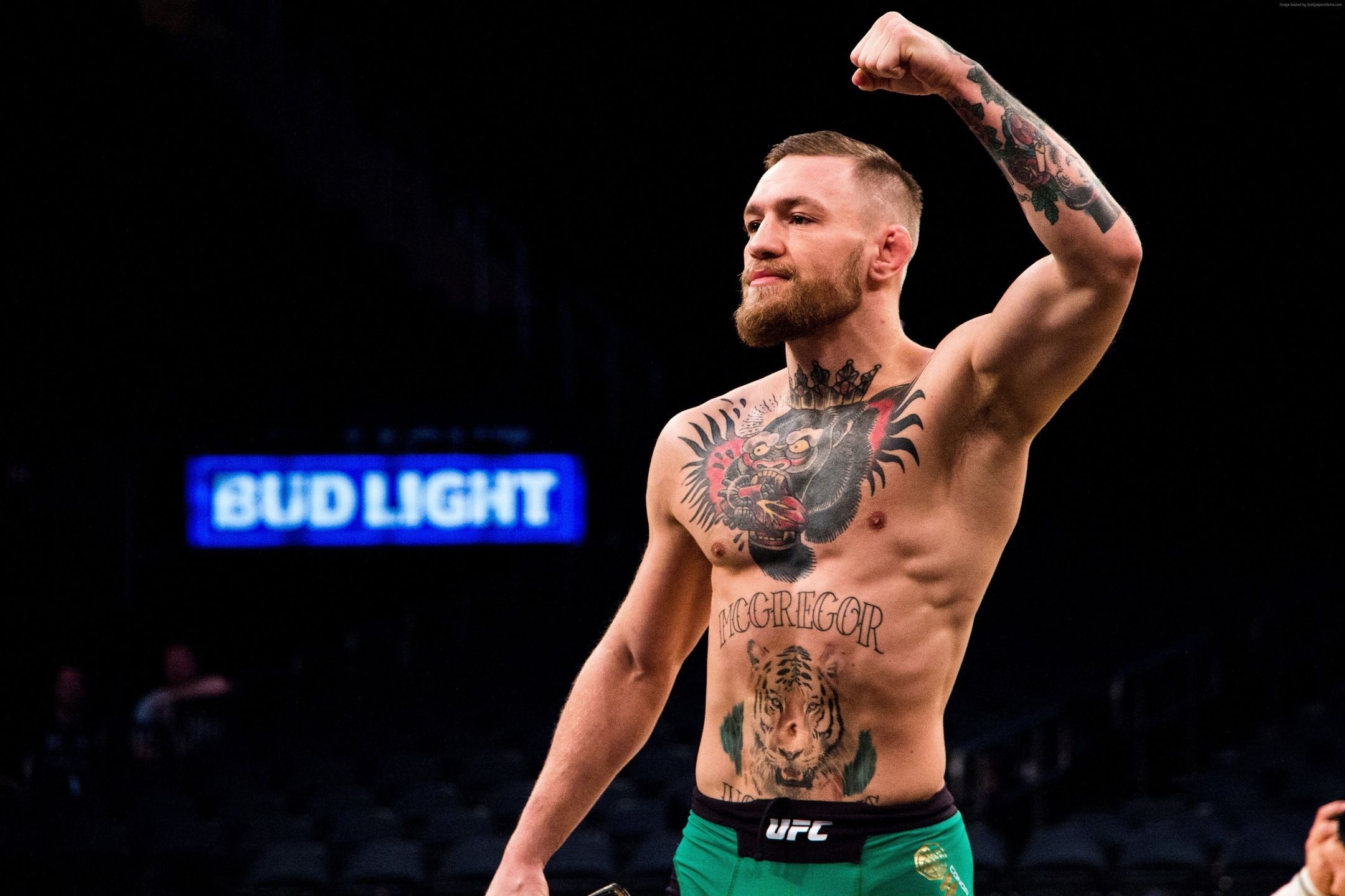 Mixed Martial Arts: Connor McGregor, A former Ultimate Fighting Championship featherweight double-champion. 2160x1440 HD Wallpaper.