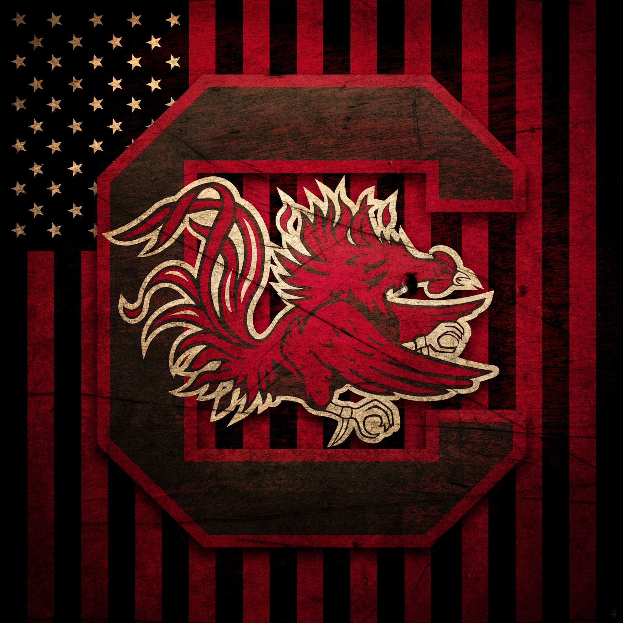 Gamecock Android wallpapers, Eye-catching designs, Mobile backgrounds, Team pride, 2050x2050 HD Phone