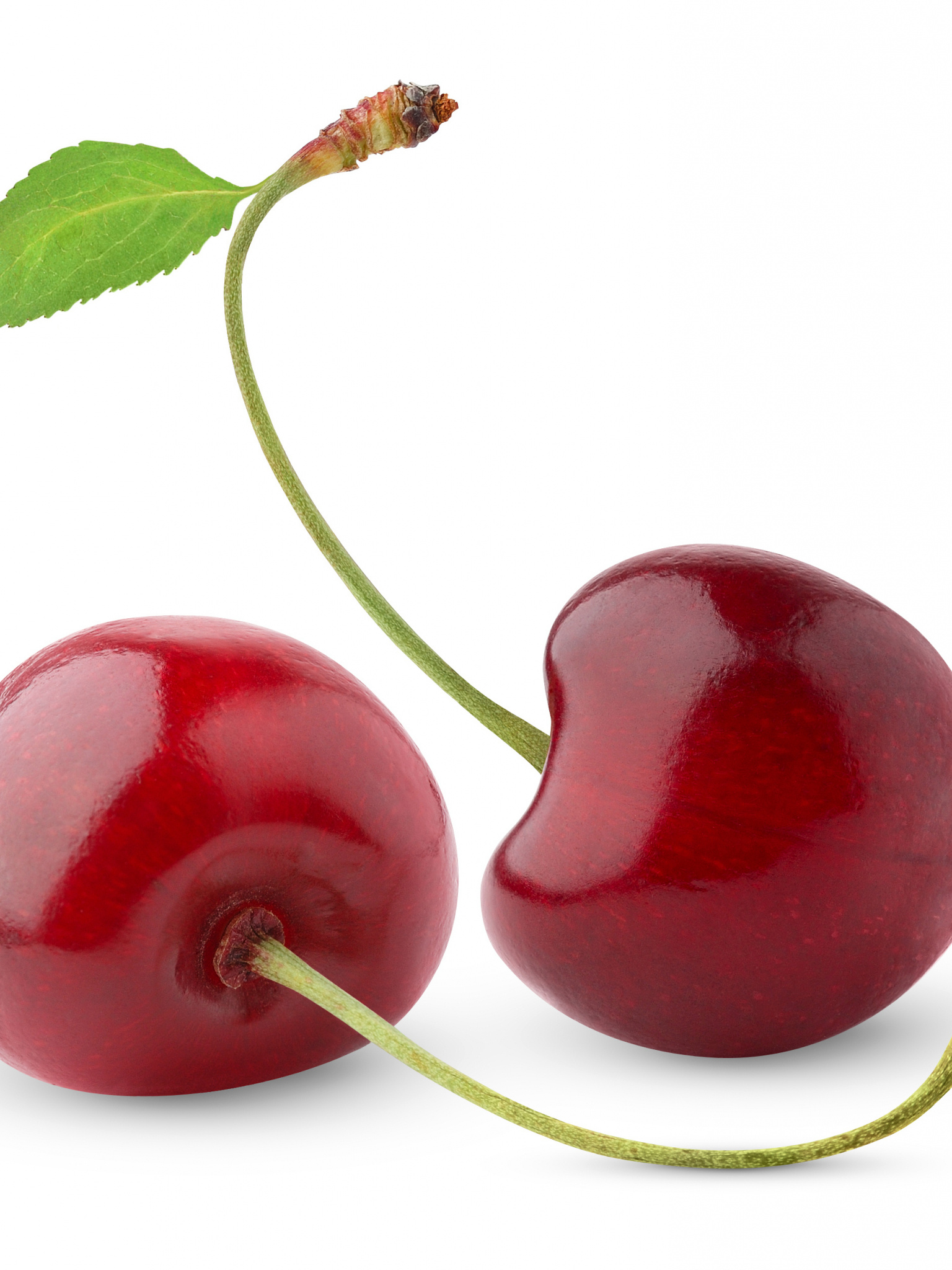 Cherry: Contain sweet, subtly tangy flavors with juicy, firm, and succulent flesh. 1540x2050 HD Background.
