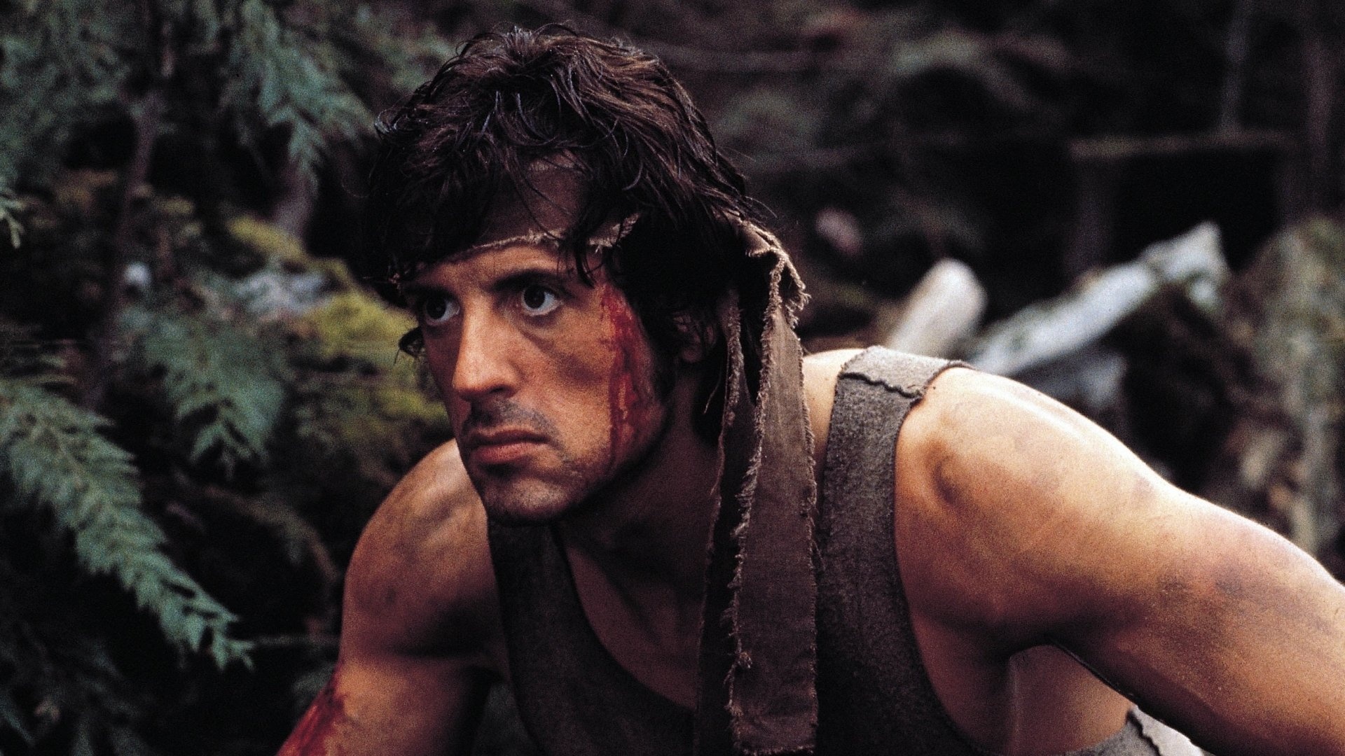 Sylvester Stallone, Captivating performance, Iconic figure, Cinematic charisma, 1920x1080 Full HD Desktop