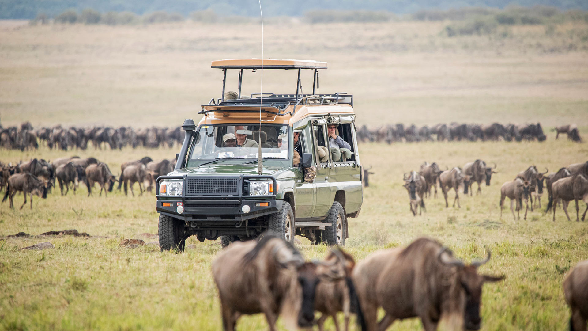 Masai Mara National Reserve, Extraordinary safaris, 1920x1080 Full HD Desktop