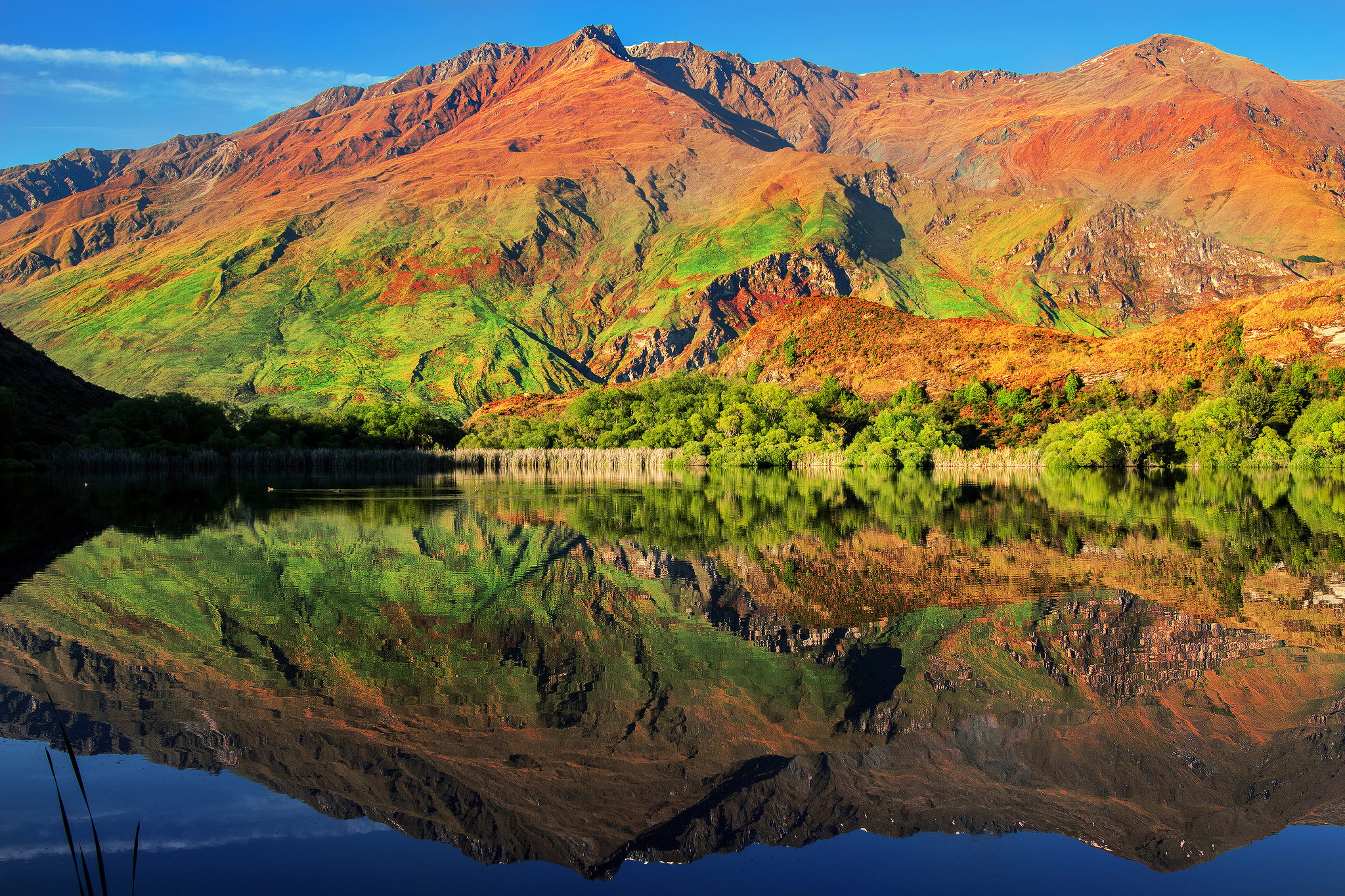 South Island, New Zealand, Tree, Lake, Mountain, 2050x1370 HD Desktop