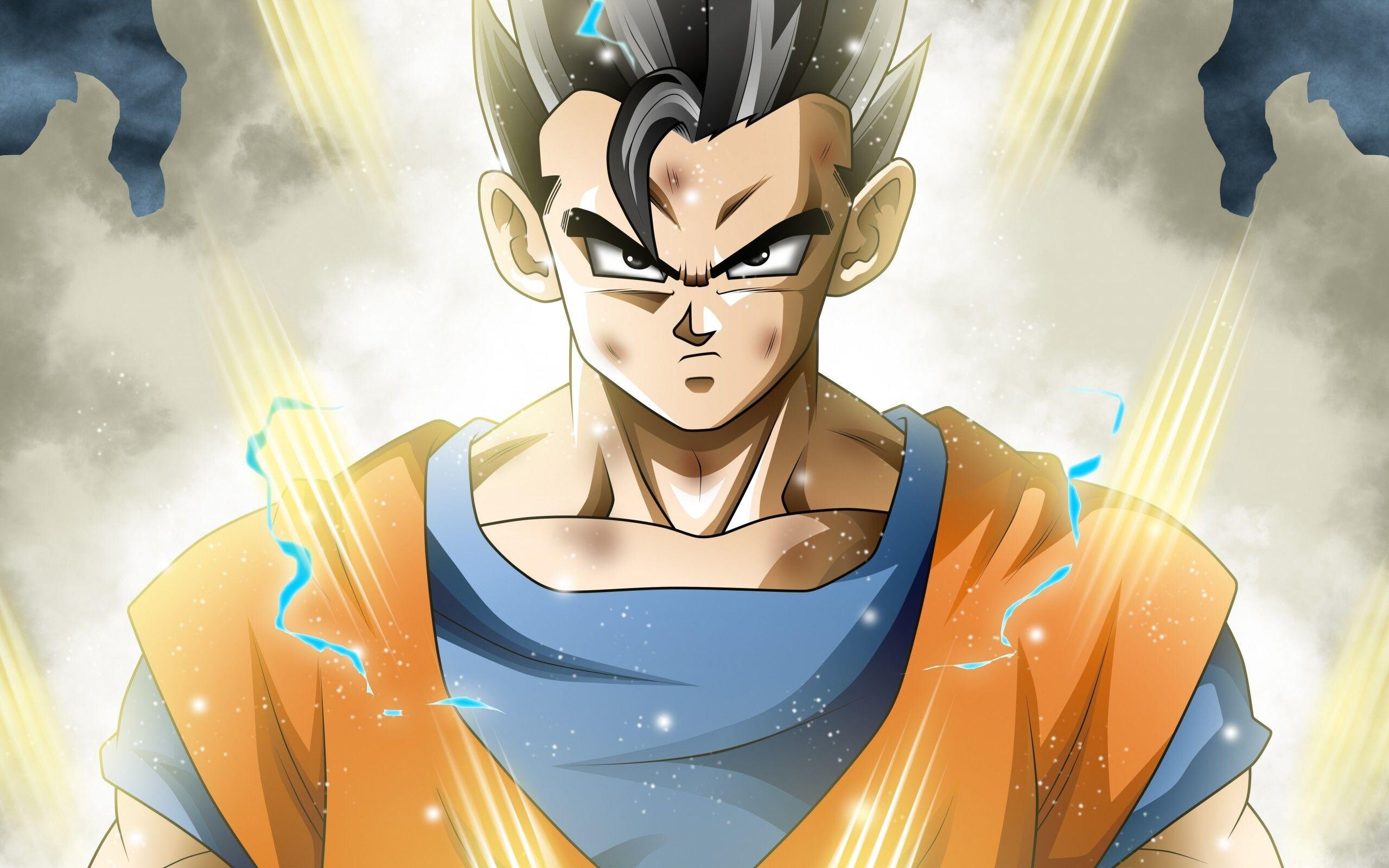Gohan: A character that debuted in the first episode of the Raditz Saga and the uncut Dragon Ball Z series. 2560x1600 HD Background.