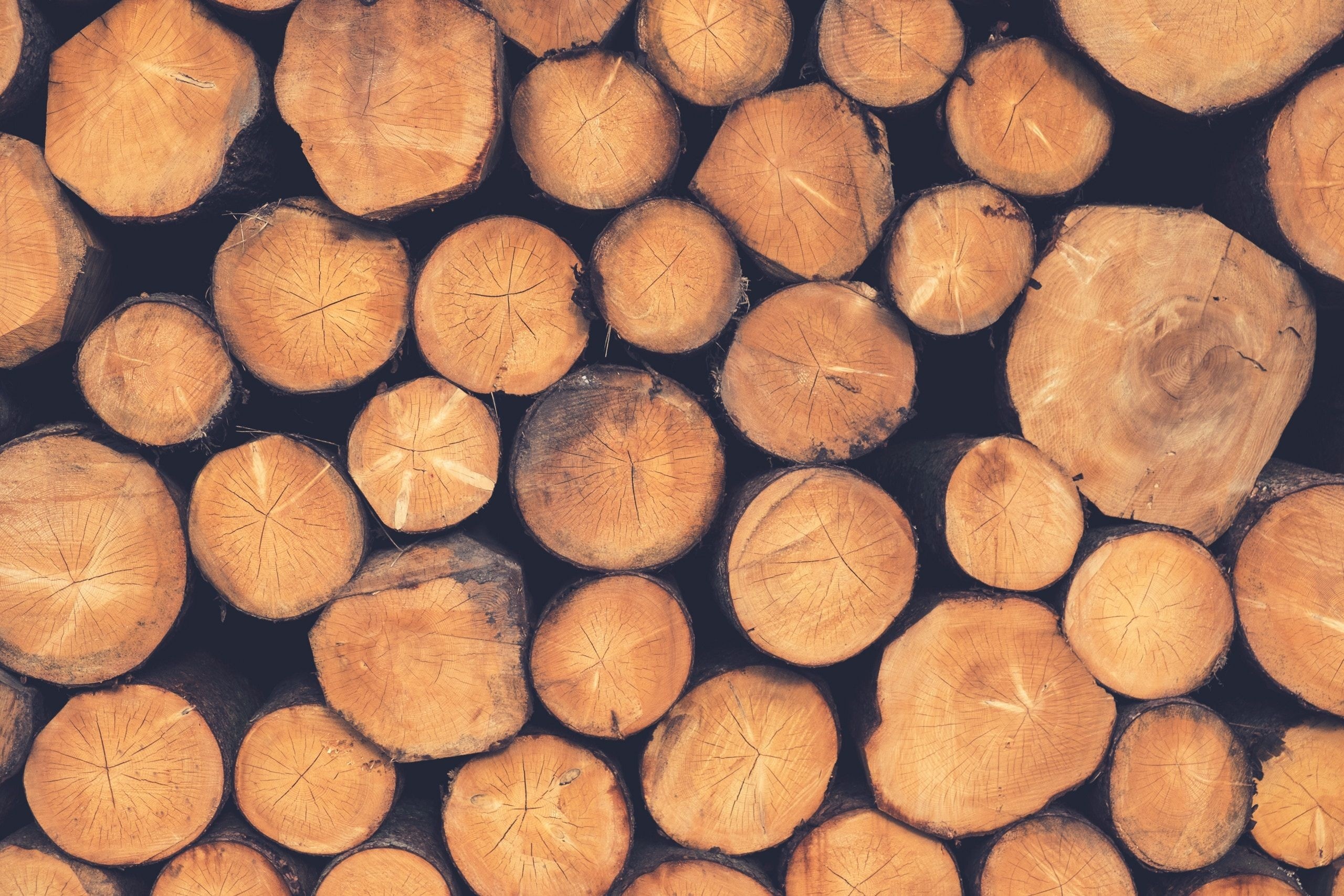 Lumberjack: Harvesting of trees, Logging, Wood industry, Timber harvesting. 2560x1710 HD Wallpaper.