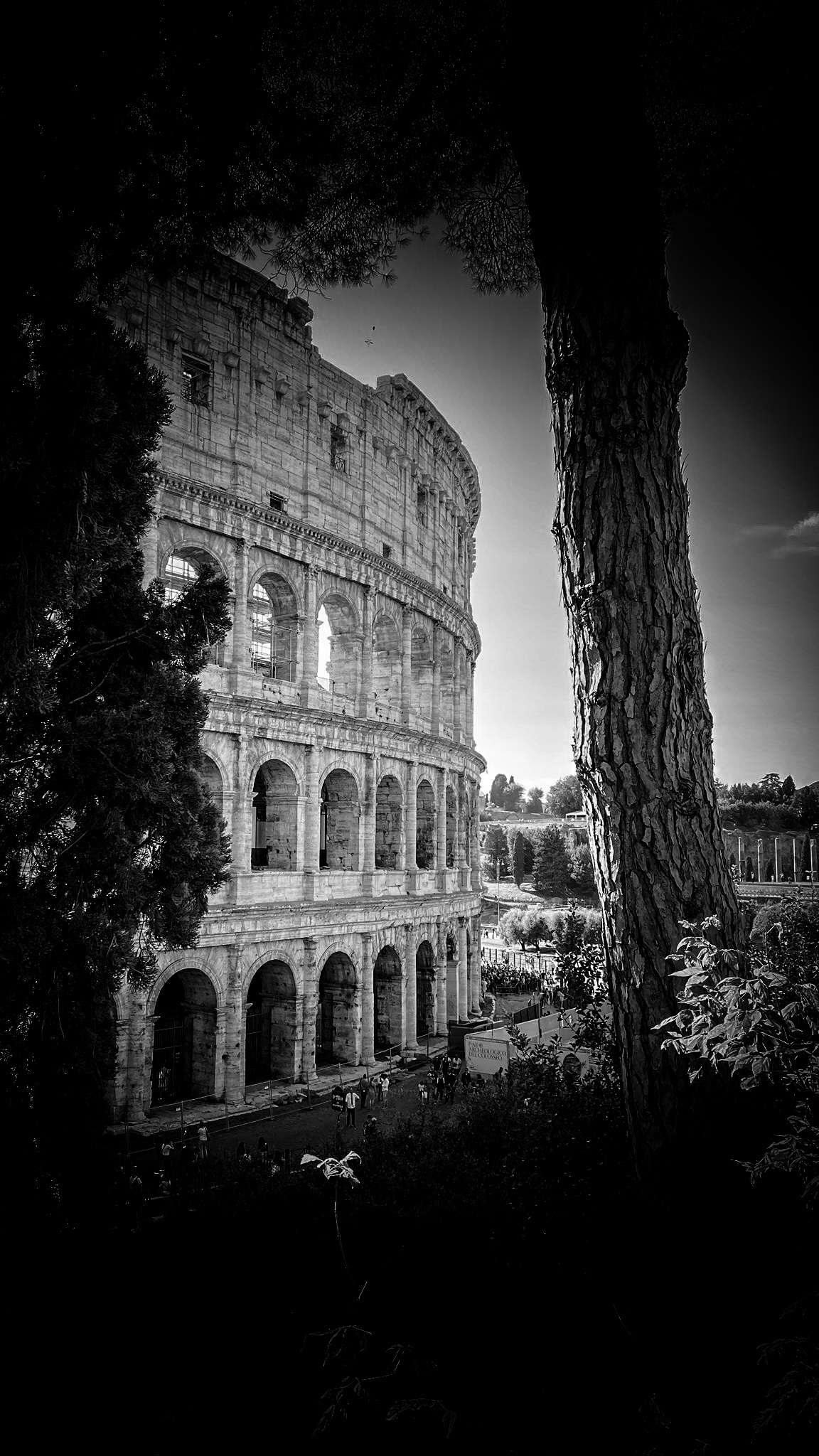 Colosseum, iPhone Wallpaper, Album, 1160x2050 HD Phone
