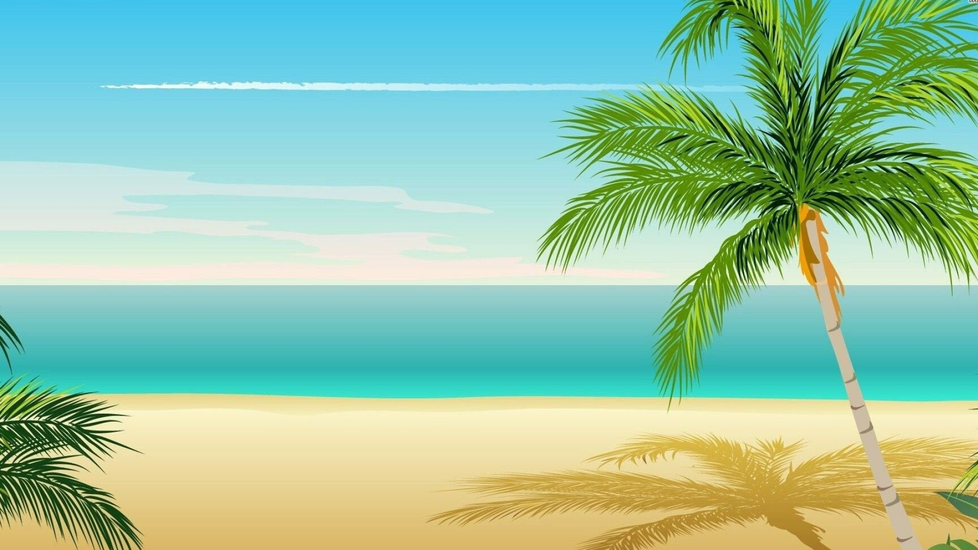 Palm Tree: Trees closely identified with tropical locations and warm-weather spots. 1920x1080 Full HD Background.
