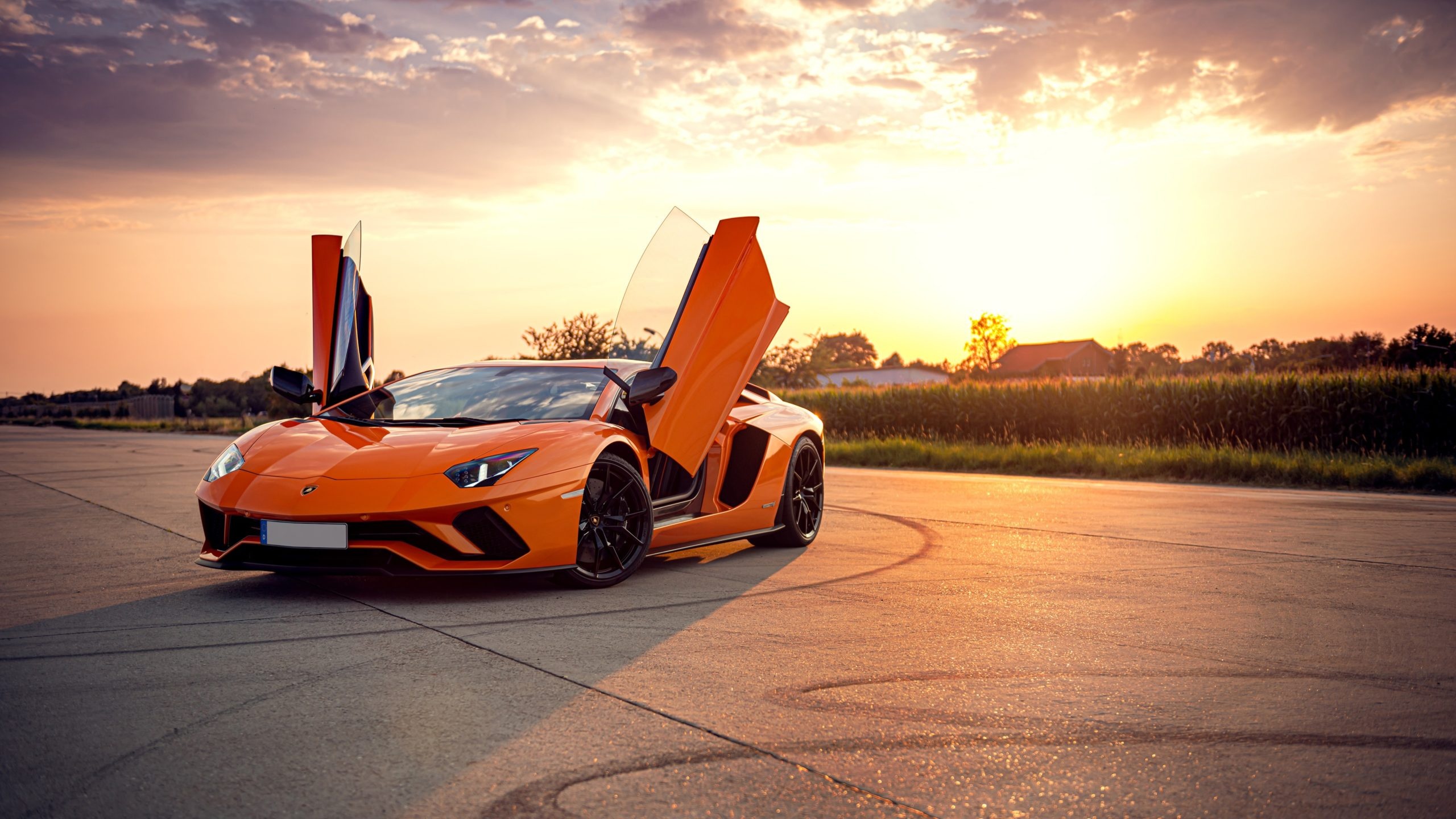 Lamborghini Aventador, Exquisite craftsmanship, Mind-blowing details, Unforgettable beauty, 2560x1440 HD Desktop