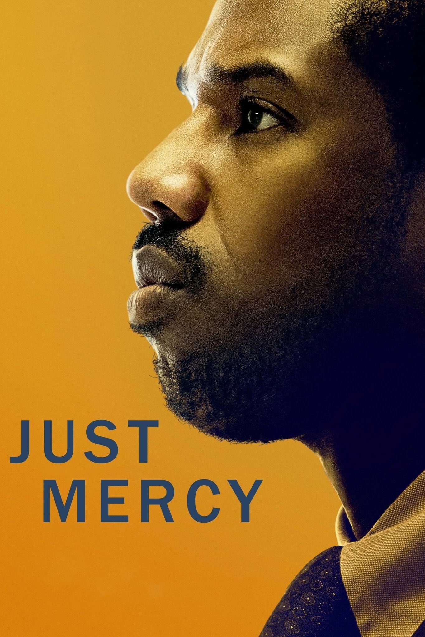 Just Mercy, 2019, Plagty, Movie database, 1370x2050 HD Handy