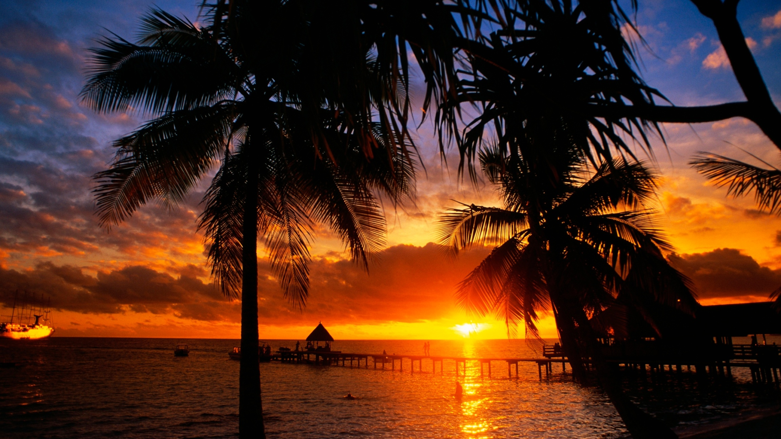 Rangiroa Atoll, French Polynesia, Tropical paradise, Picture-perfect beaches, 2560x1440 HD Desktop