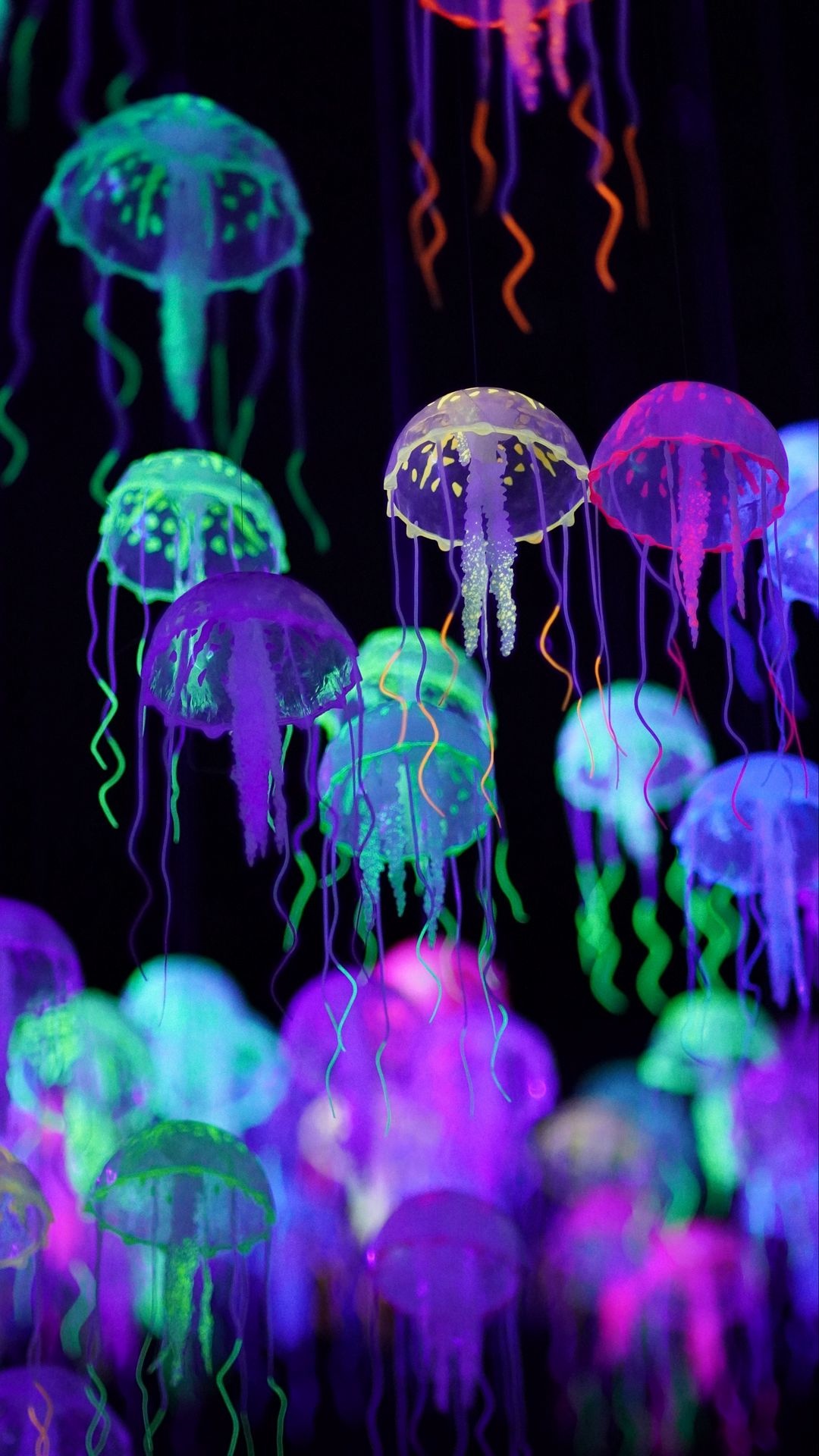 Glowing jellyfish, Illuminated beauty, Radiant marine creatures, Captivating underwater display, 1080x1920 Full HD Phone