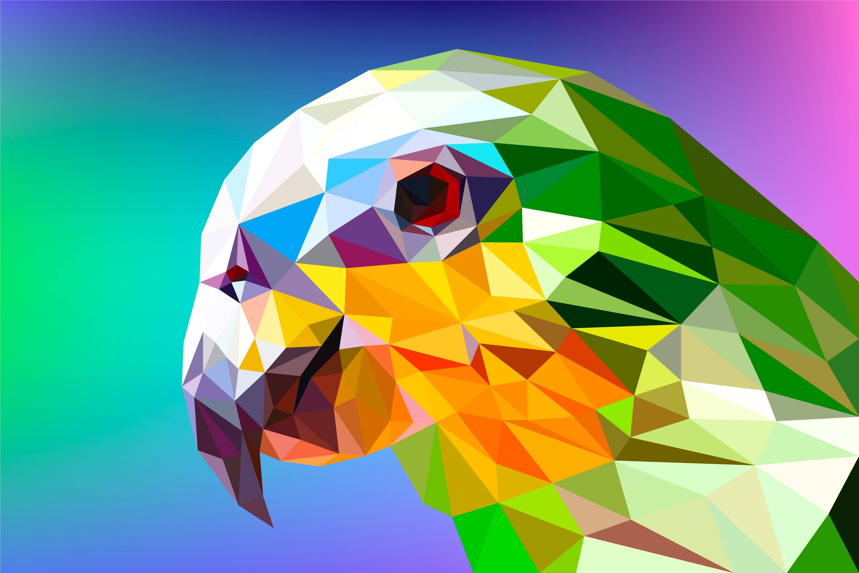 Parrot polygon facets, 1280x1024 resolution, HD wallpapers, Photos and pictures, 3000x2000 HD Desktop