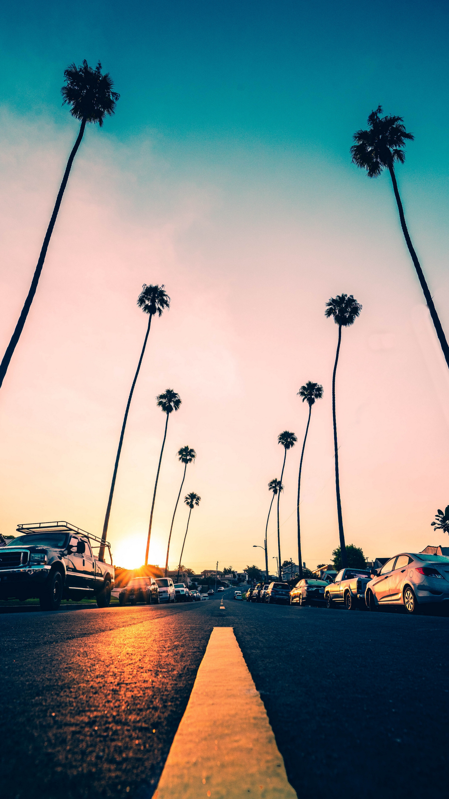 Riverside California, Road, Palm trees, Cars, 1440x2560 HD Handy