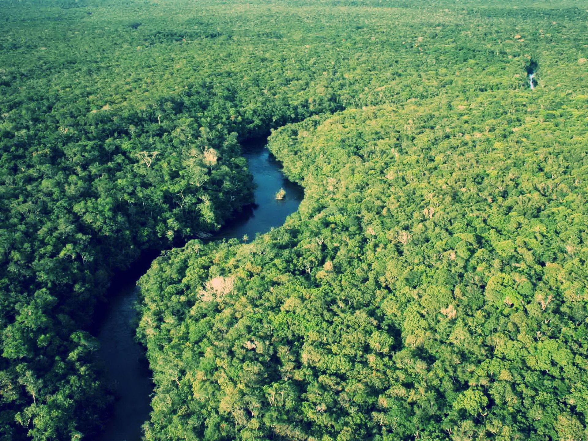Amazon River, Rainforest adventure, Nature's marvel, Thrilling experience, 1920x1440 HD Desktop