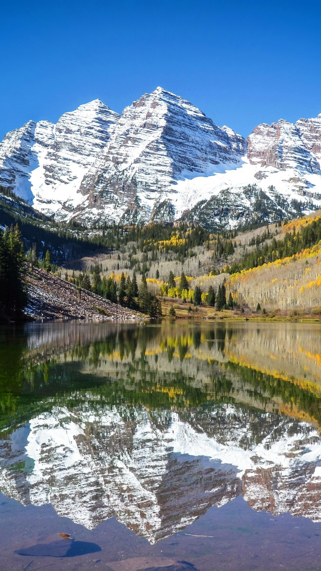 Colorado Aspen autumn, Stunning wallpaper, Rocky mountain landscapes, National park beauty, 1080x1920 Full HD Phone