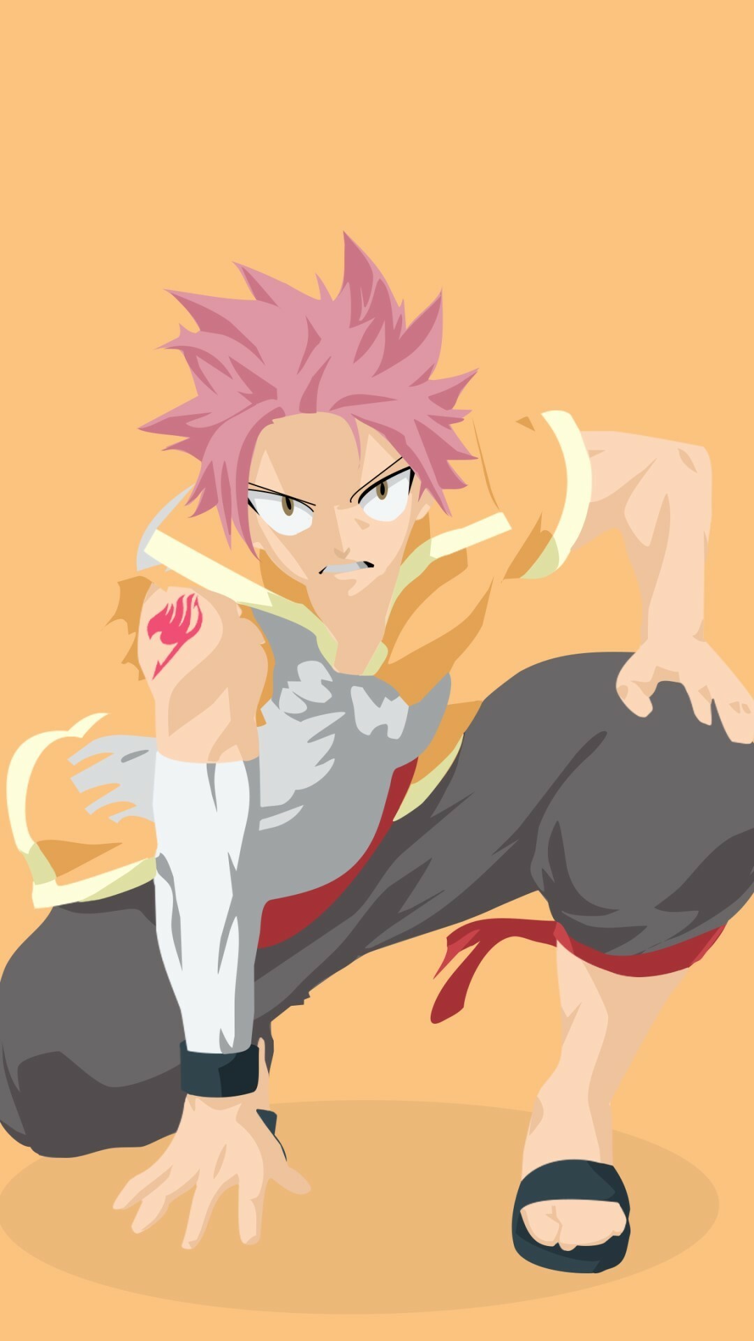 Fairy Tail: Natsu Dragneel, becomes the Thunder-Fire Dragon, Anime. 1080x1920 Full HD Background.