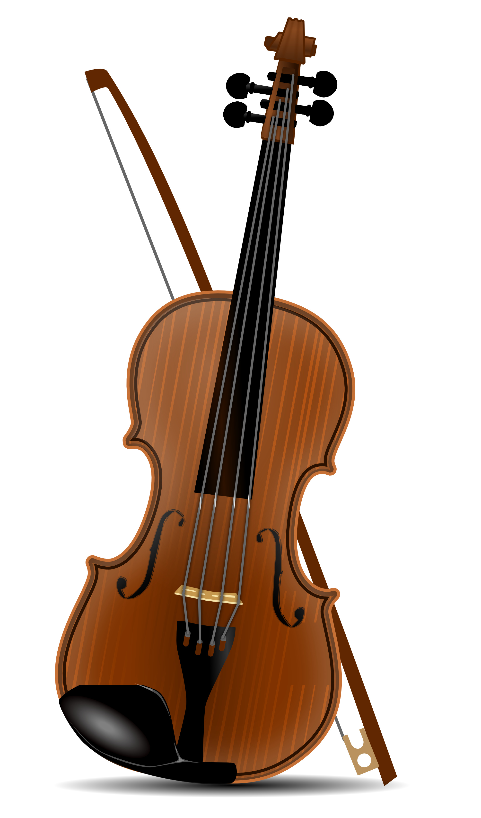 Viola: Art, Occasionally Plays A Major, Soloistic Role In Orchestral Music. 1980x3370 HD Background.