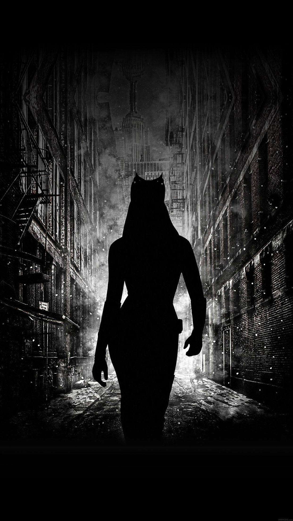 Catwoman: The alter ego of Selina Kyle, Black and white. 1250x2210 HD Wallpaper.